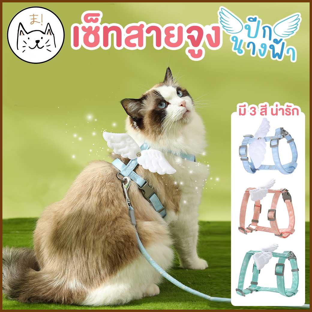 KUMAま เซ็ทสายจูง ปีกนางฟ้า เกรดพรีเมี่ยม
