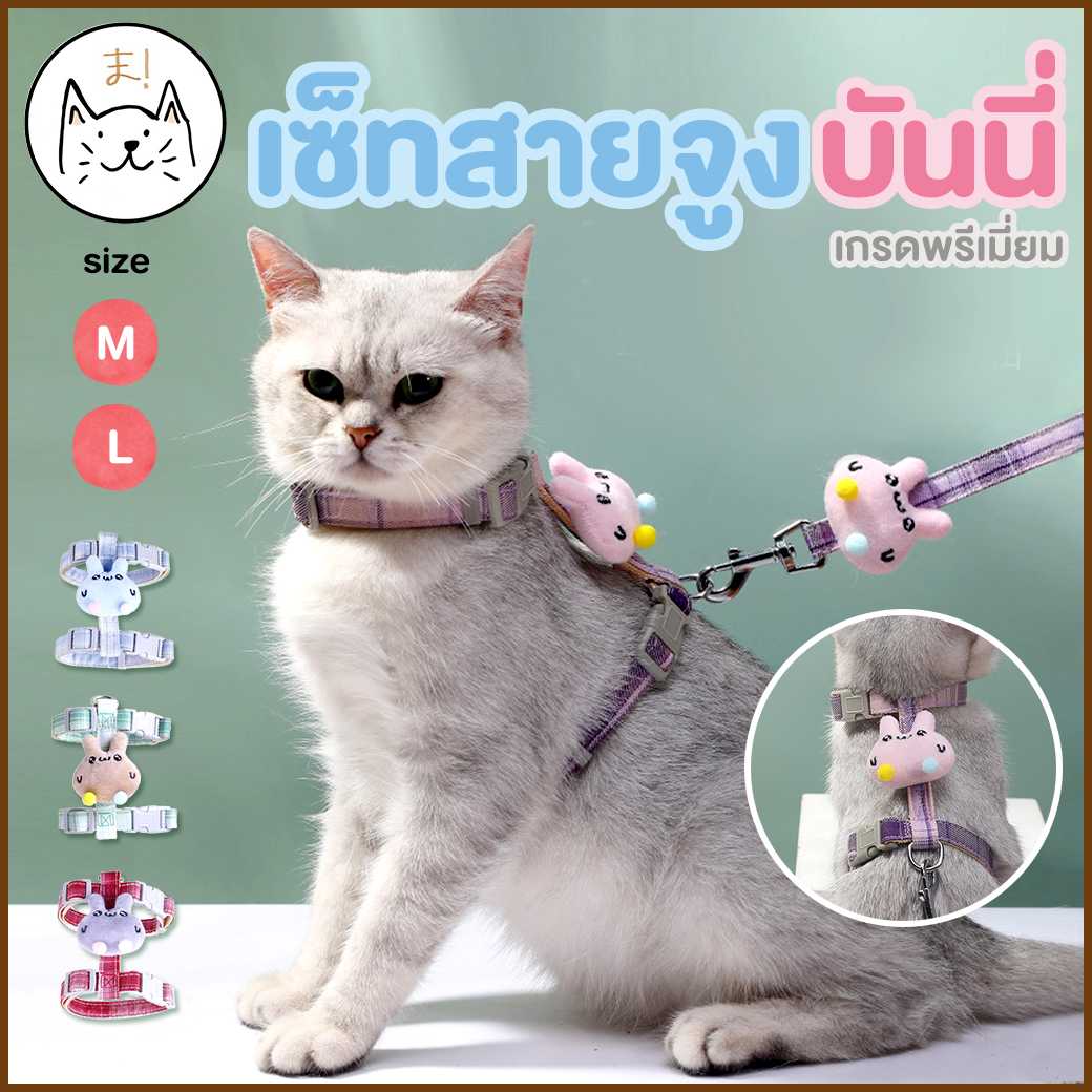 KUMAま เซทสายจูงสัตว์เลี้ยง น้องบันนี่ เกรดพรีเมี่ยม