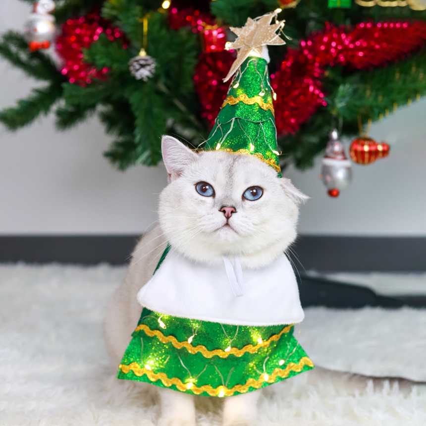 xmas collection - ชุดคอสตูมต้นคริสต์มาส ระยิบระยับ