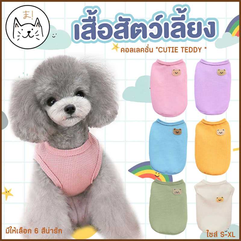 KUMA ま ชุดสัตว์เลี้ยง คอลเลคชั่น “CUTIE TEDDY ”