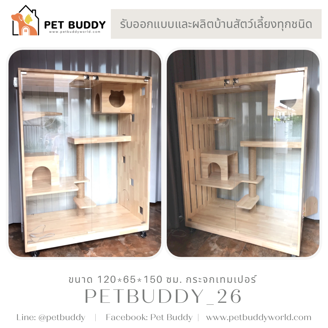 Petbuddy_26 บ้านแมว