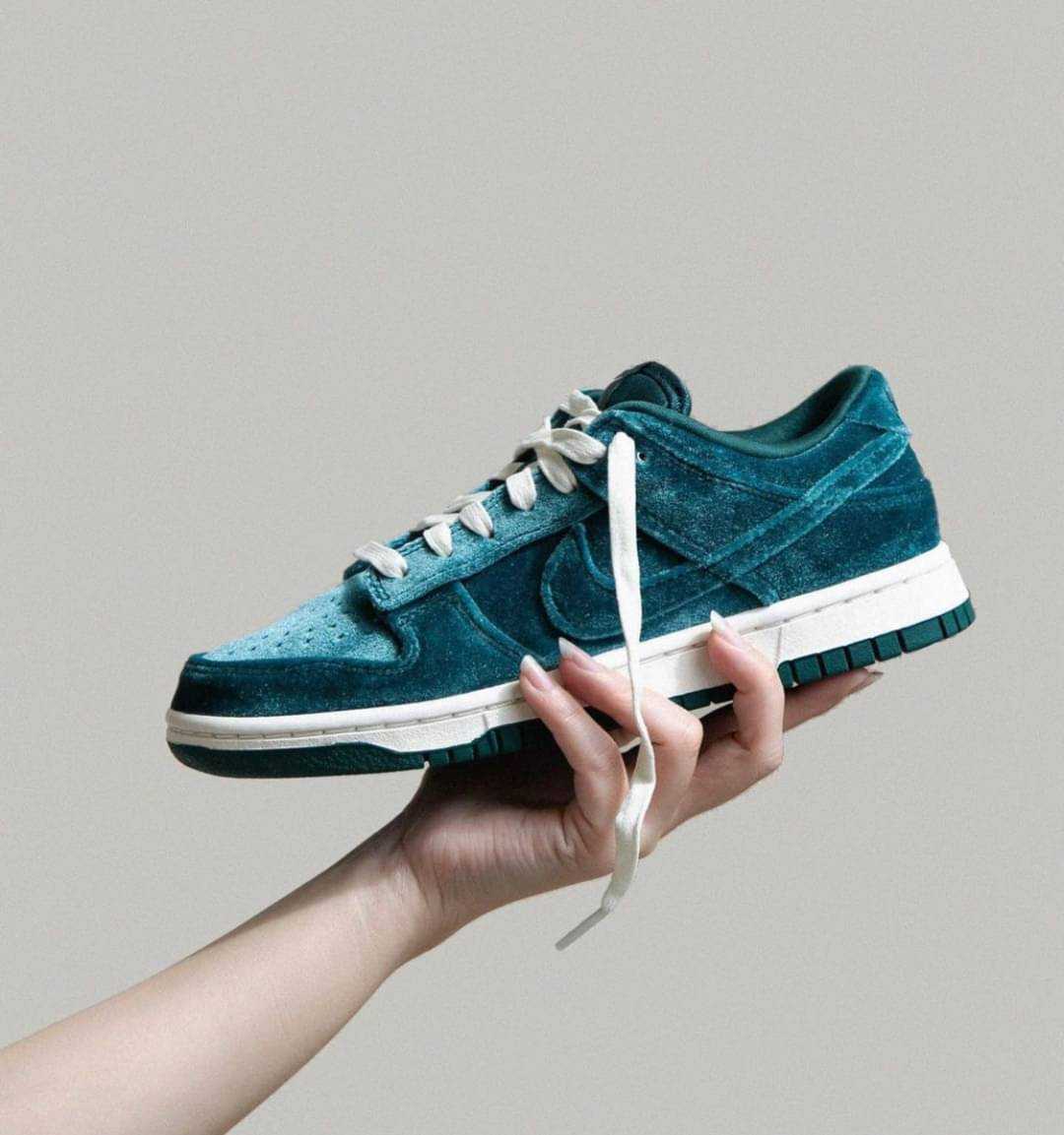 Nike Dunk Low Velvet  