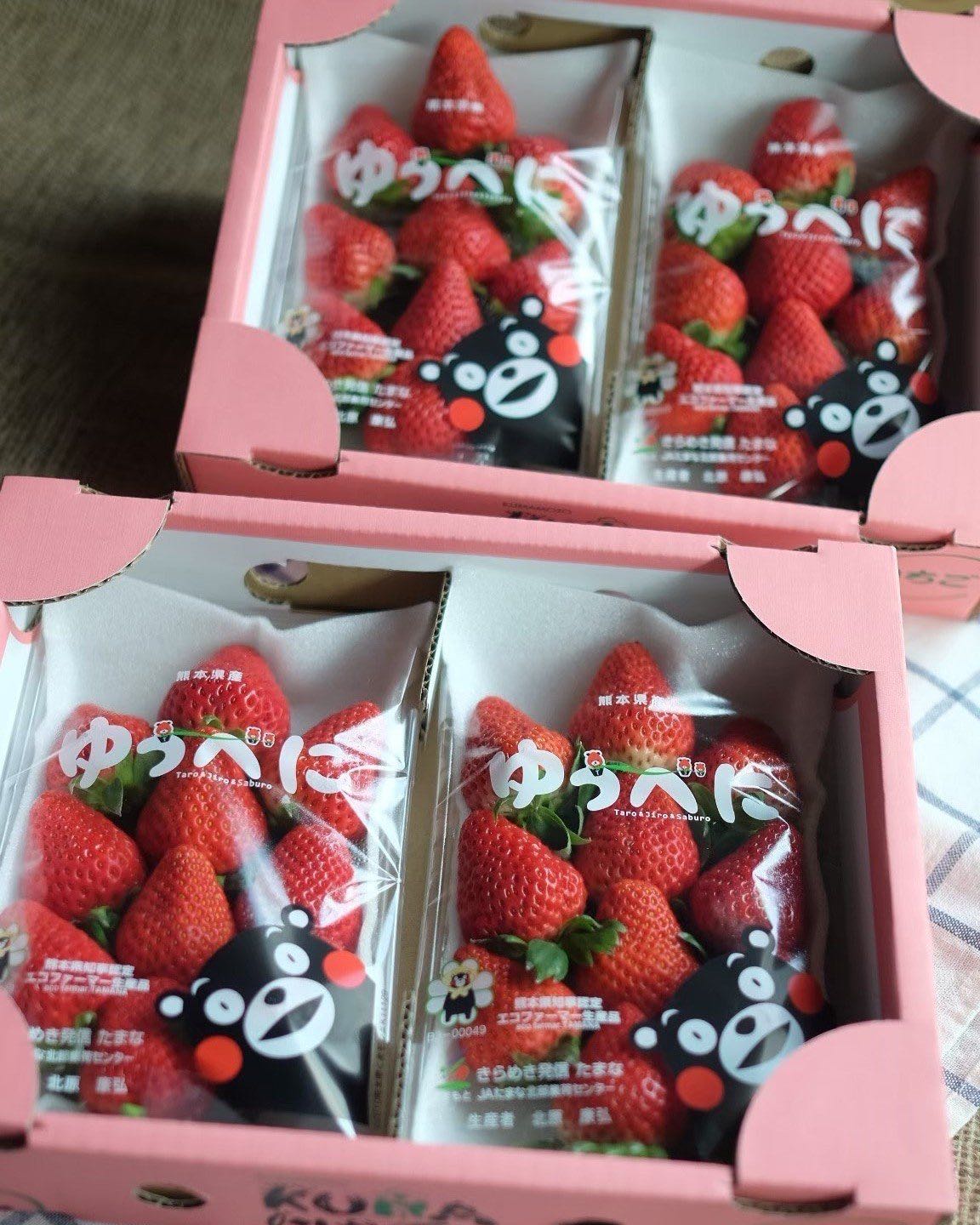 สตรอเบอรี่ญี่ปุ่น Kumamoto