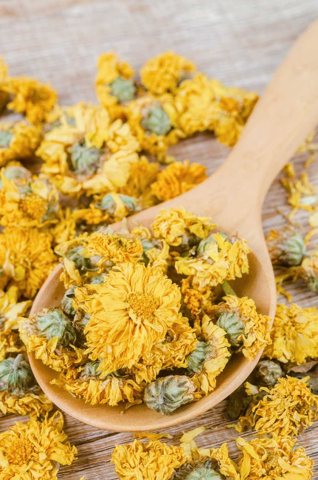 ชาเก๊กฮวยออร์แกนิก (Organic Chrysanthemum Tea)