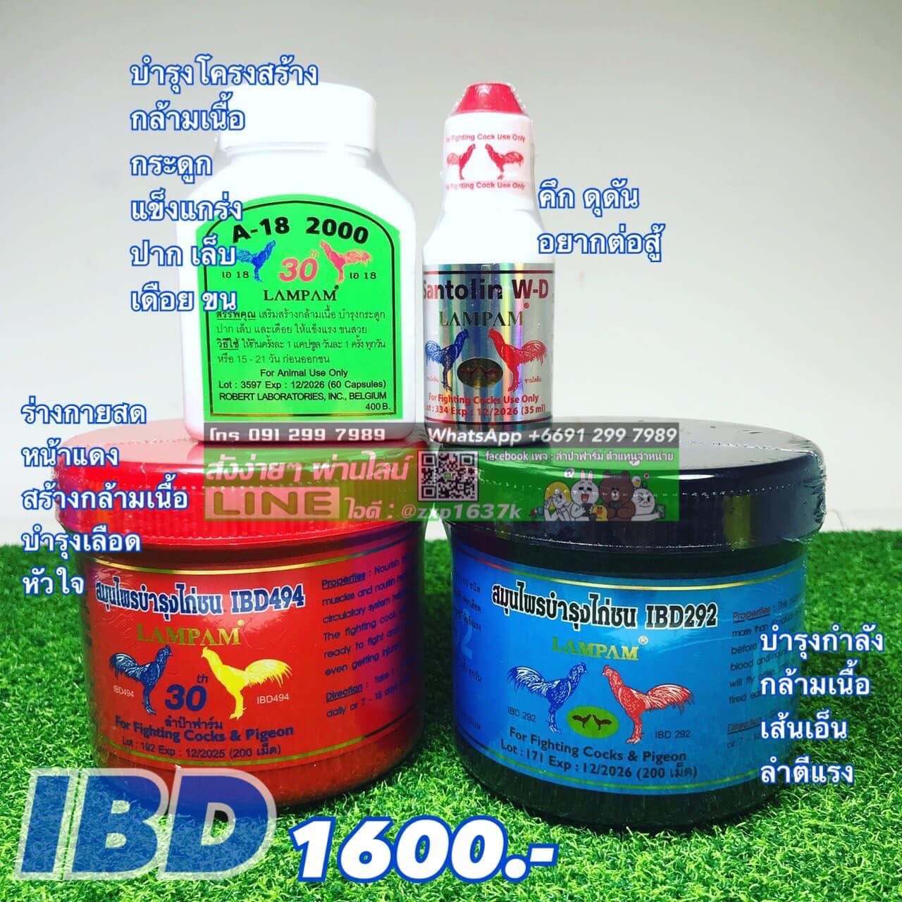 ชุดเลี้ยง IBD 1600