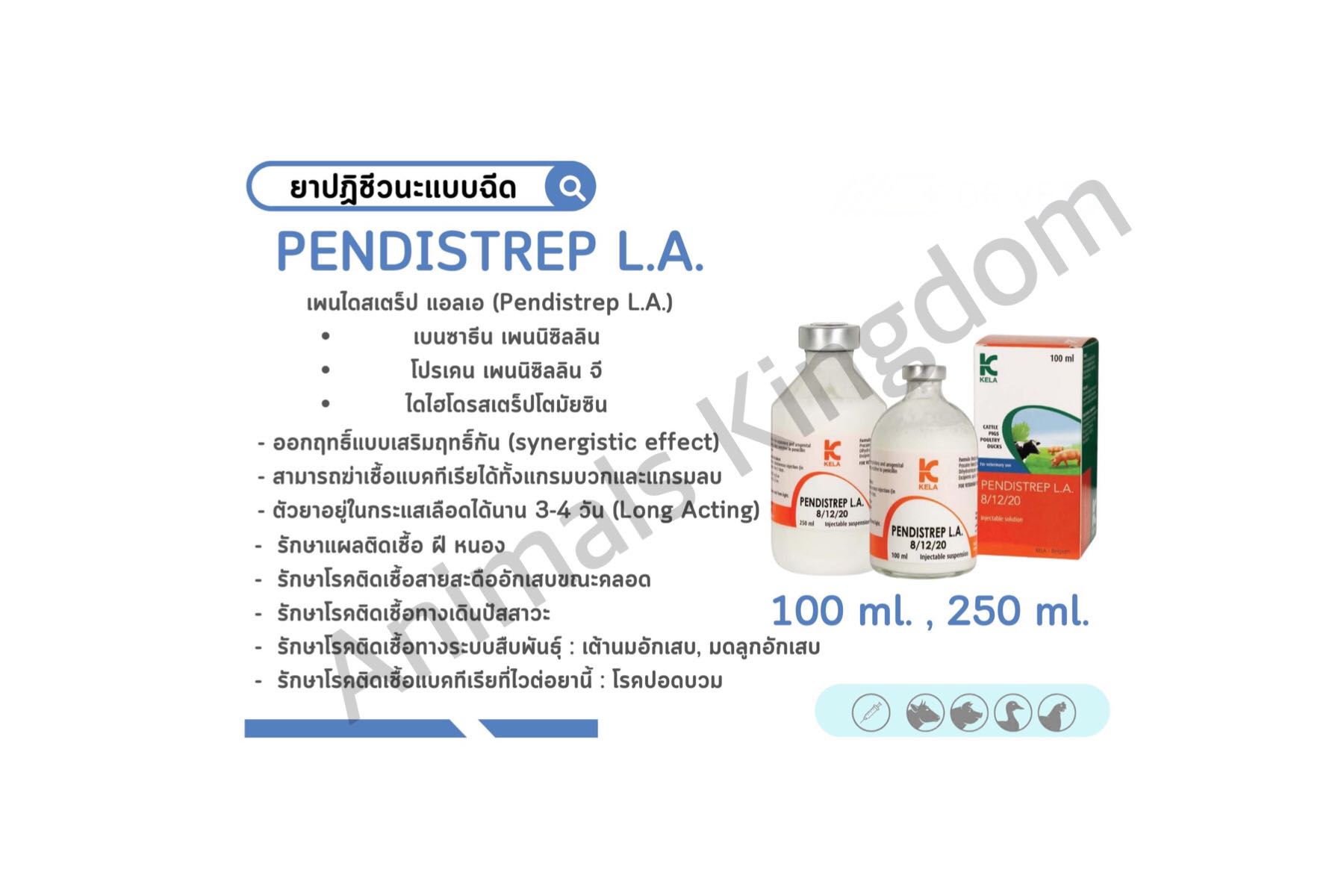 PENDISTREP L.A. เพ็นไดสเตร็บ แอลเอ  100 และ 250 ml.(แก้อักเสบ)