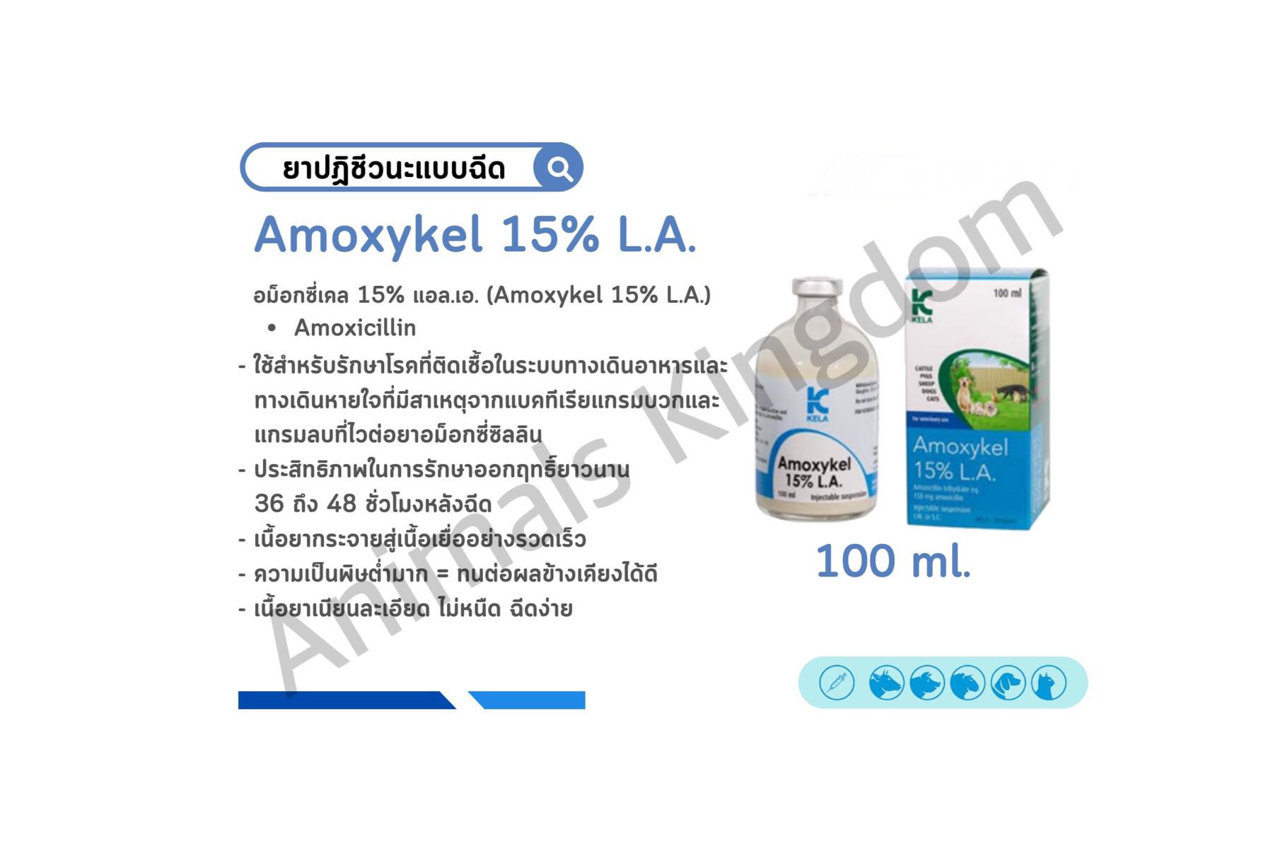 Amoxykel 15% L.A. อม็อกซี่เคล 15% แอล.เอ.ขนาด100 ml.(ยาปฏิชีวนะสำหรับสัตว์) 