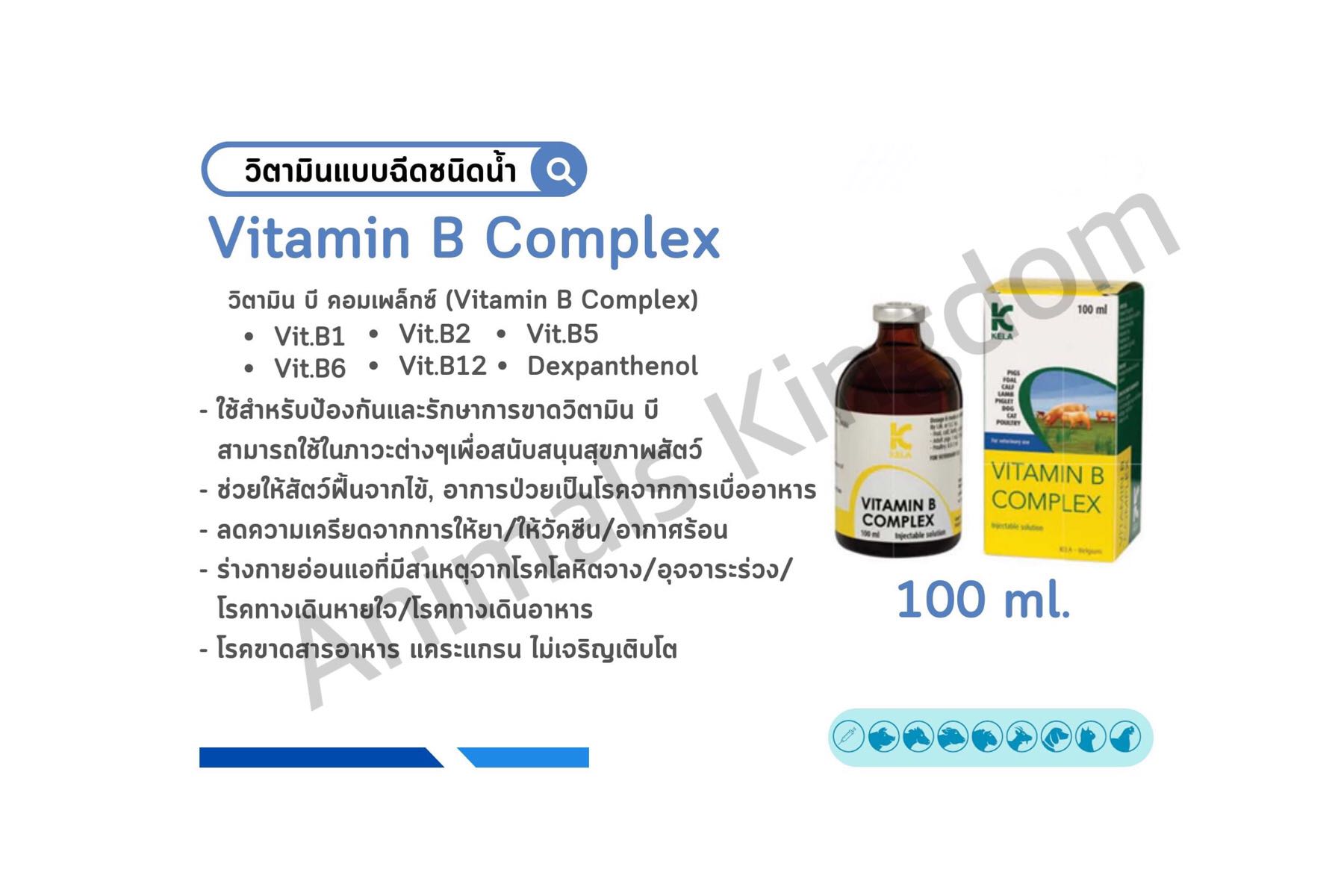 VITAMIN B COMPLEX (KELA) 100 ml./ วิตามินบี คอมเพล็ก(คีล่า) 100 มล.