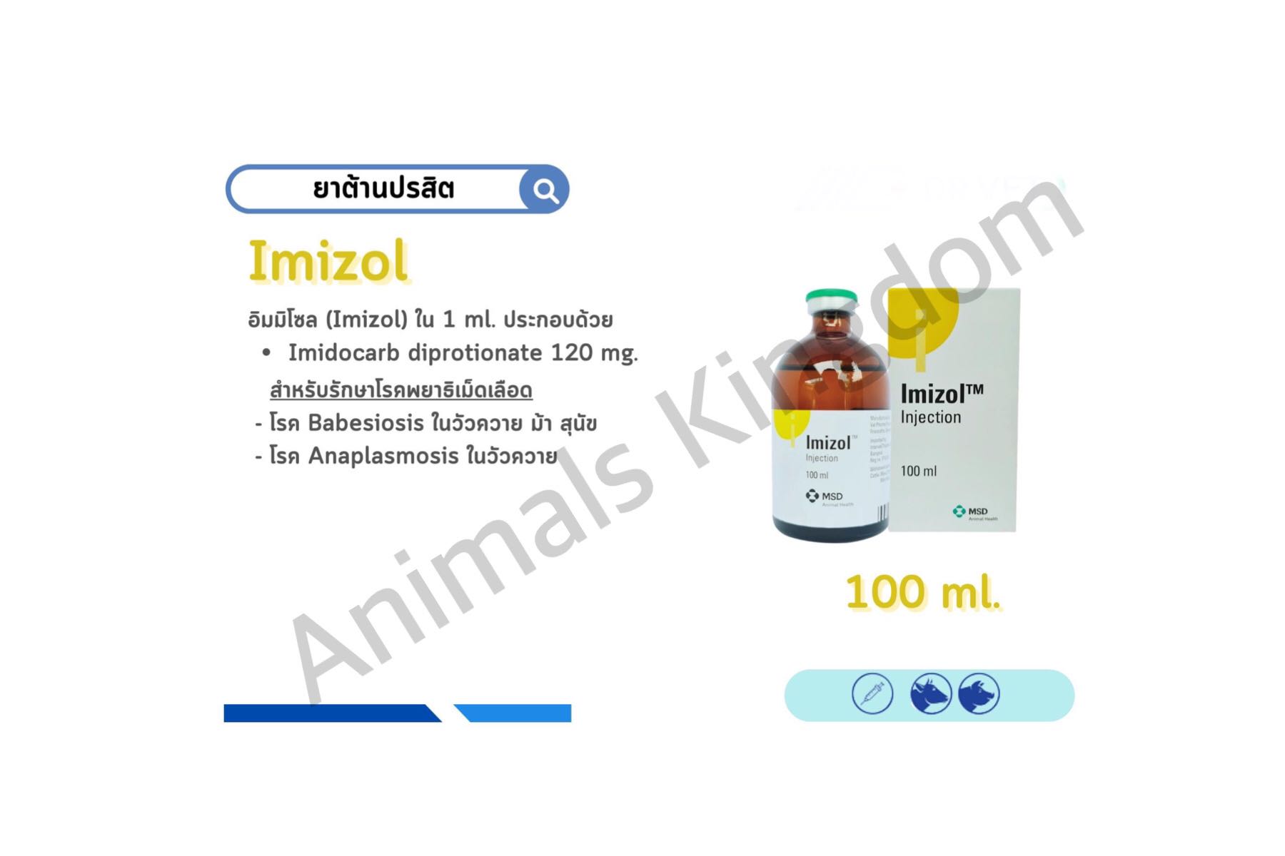 Imizol Injection 100 ml/อิมมิโซล ชนิดฉีด 100 มล.(ยารักษาพยาธิเม็ดเลือด)