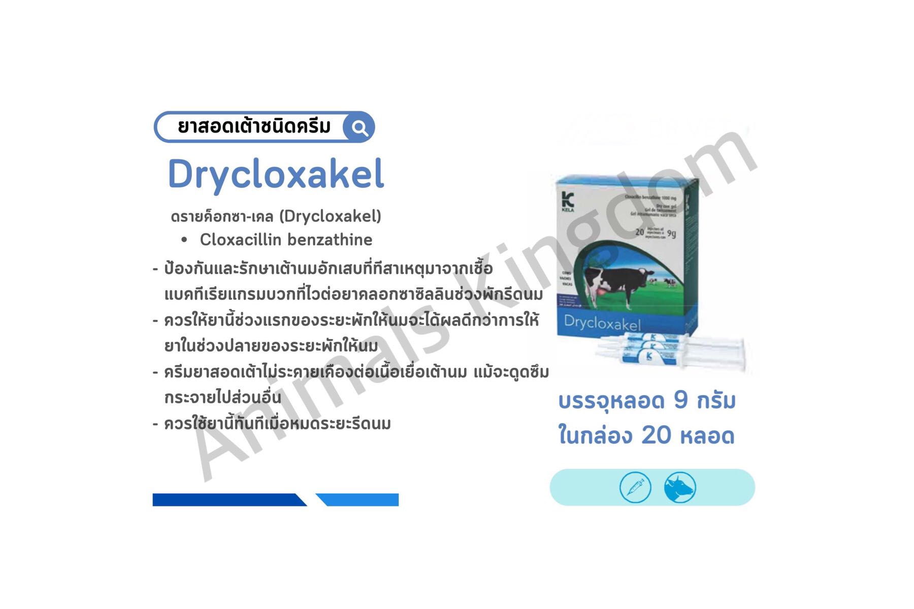 Drycloxakel ดรายค๊อกซ่าเคล ยาสอดเต้าชนิดครีม ยาดราย 9 กรัม/หลอด (1กล่อง)