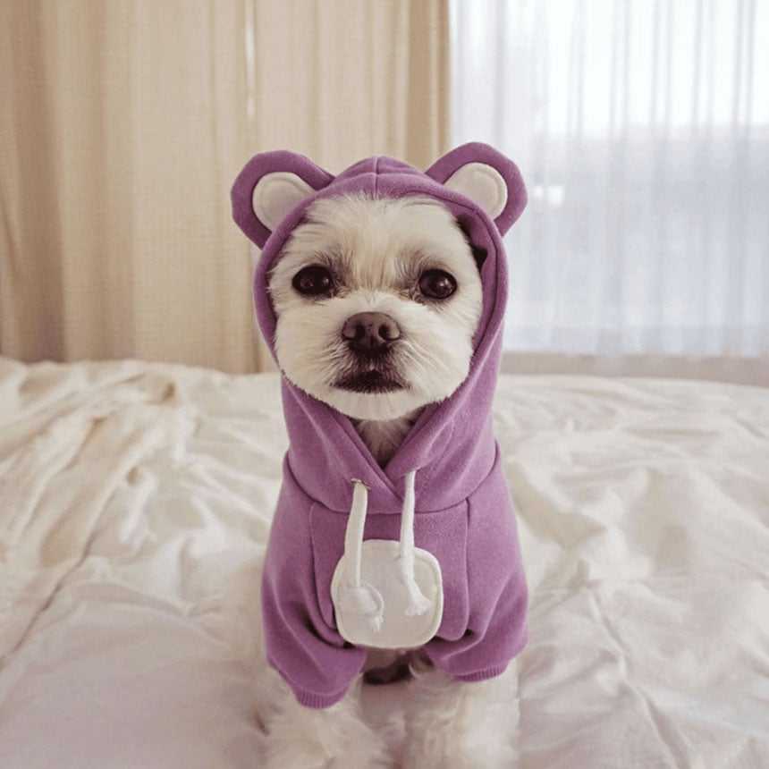 Hoodie Collection - เสื้อตุ๊กตามีหู น่ารักมากมาก