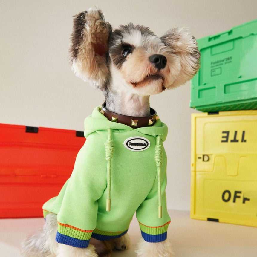 Hoodie Collection - ฮงแดสไตล์