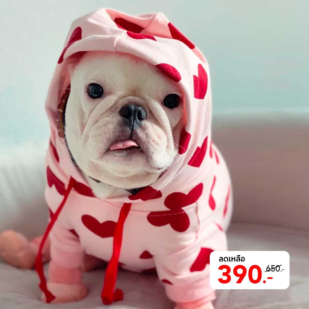 Hoodie Collection - ฮู้ด ลายหัวใจ