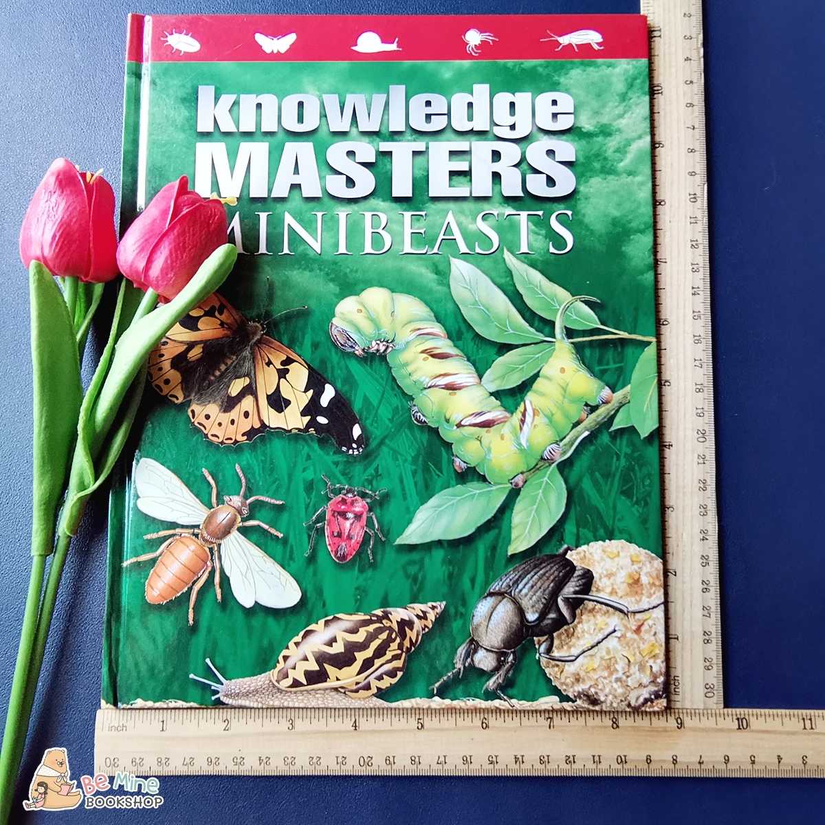 ความรู้เกี่ยวกับแมลง║Minibeasts (Knowledge Masters)║ ★มือสอง ★ปกแข็ง