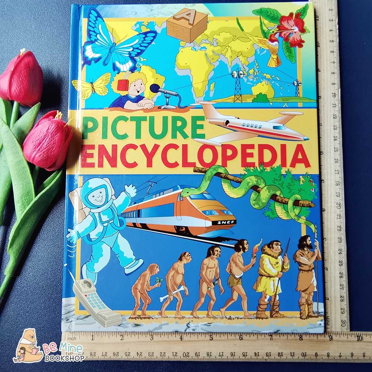 สารานุกรม║Picture Encyclopedia║ ★มือสอง★ปกแข็ง