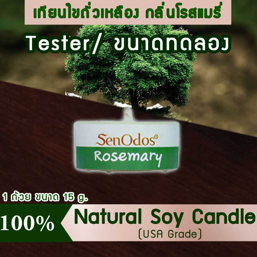 เทียนหอม อโรม่า (ขนาดทดลอง)  Tealight Rosemary  Soy Candle Aroma  15 g -  กลิ่นโรสแมรี่แท้