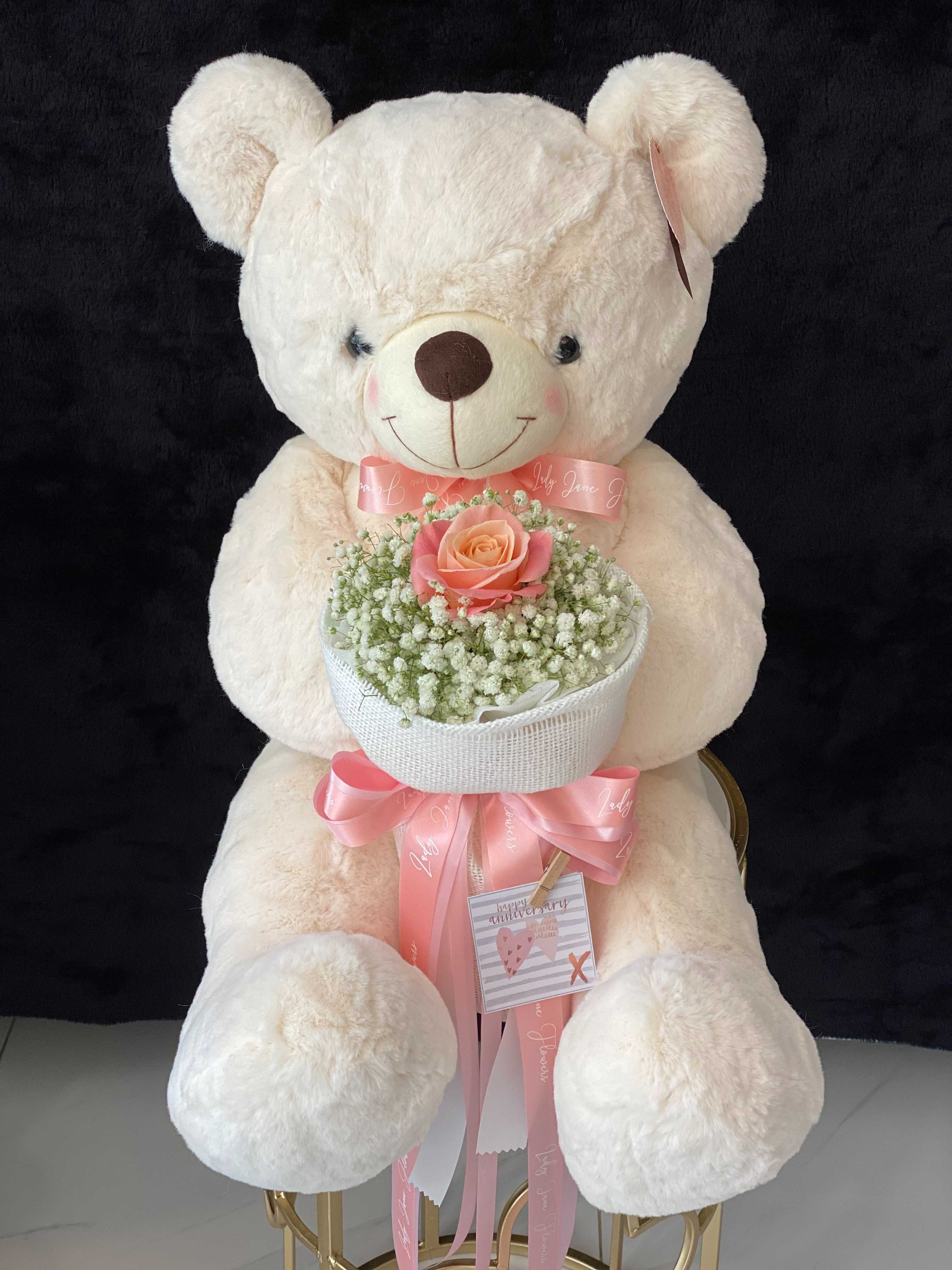 TEDDY 70