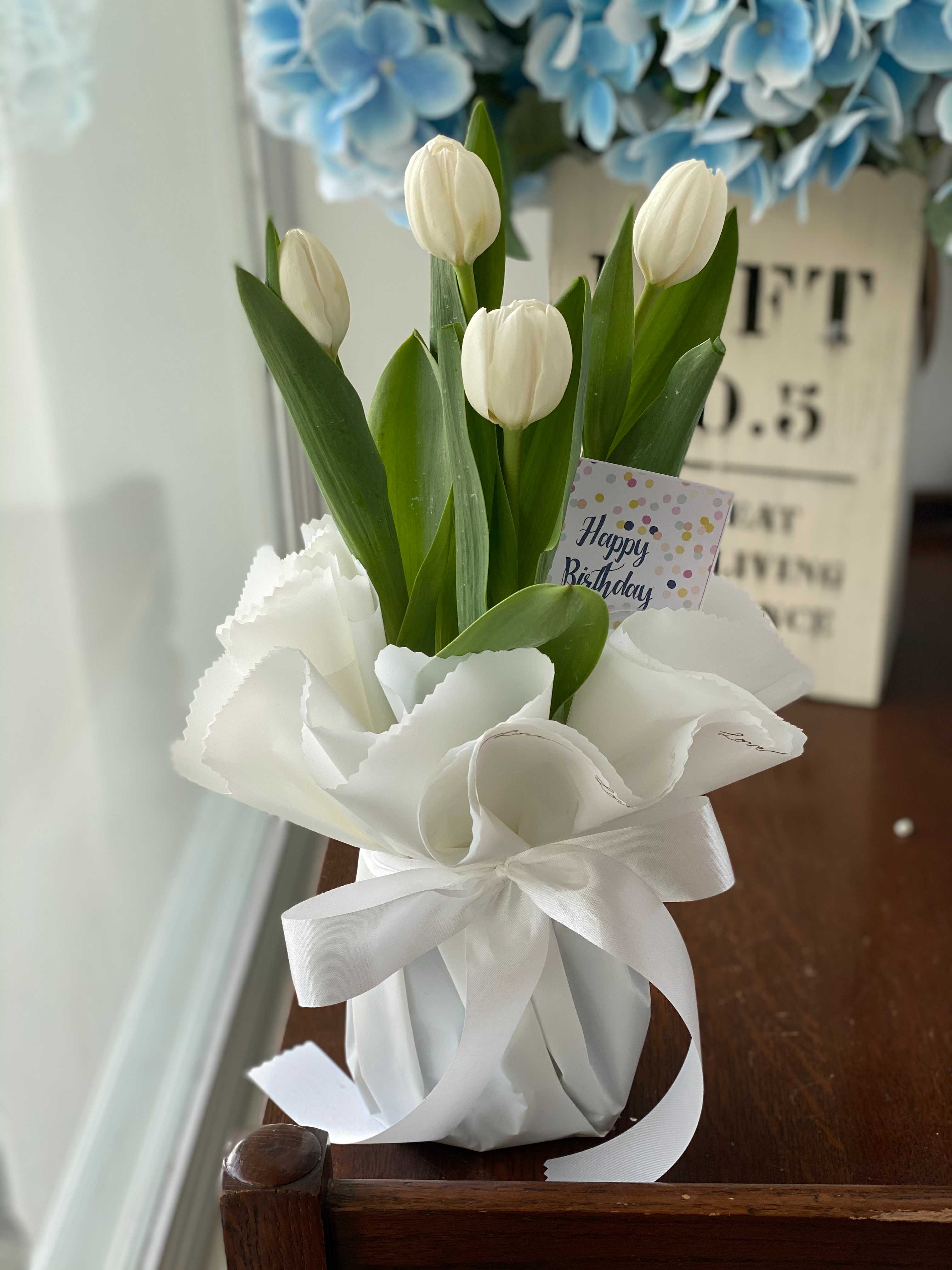 Tulip