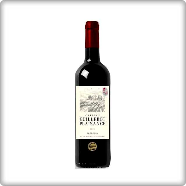CHATEAU GUILLEBOT PLAISANCE 2019[France]