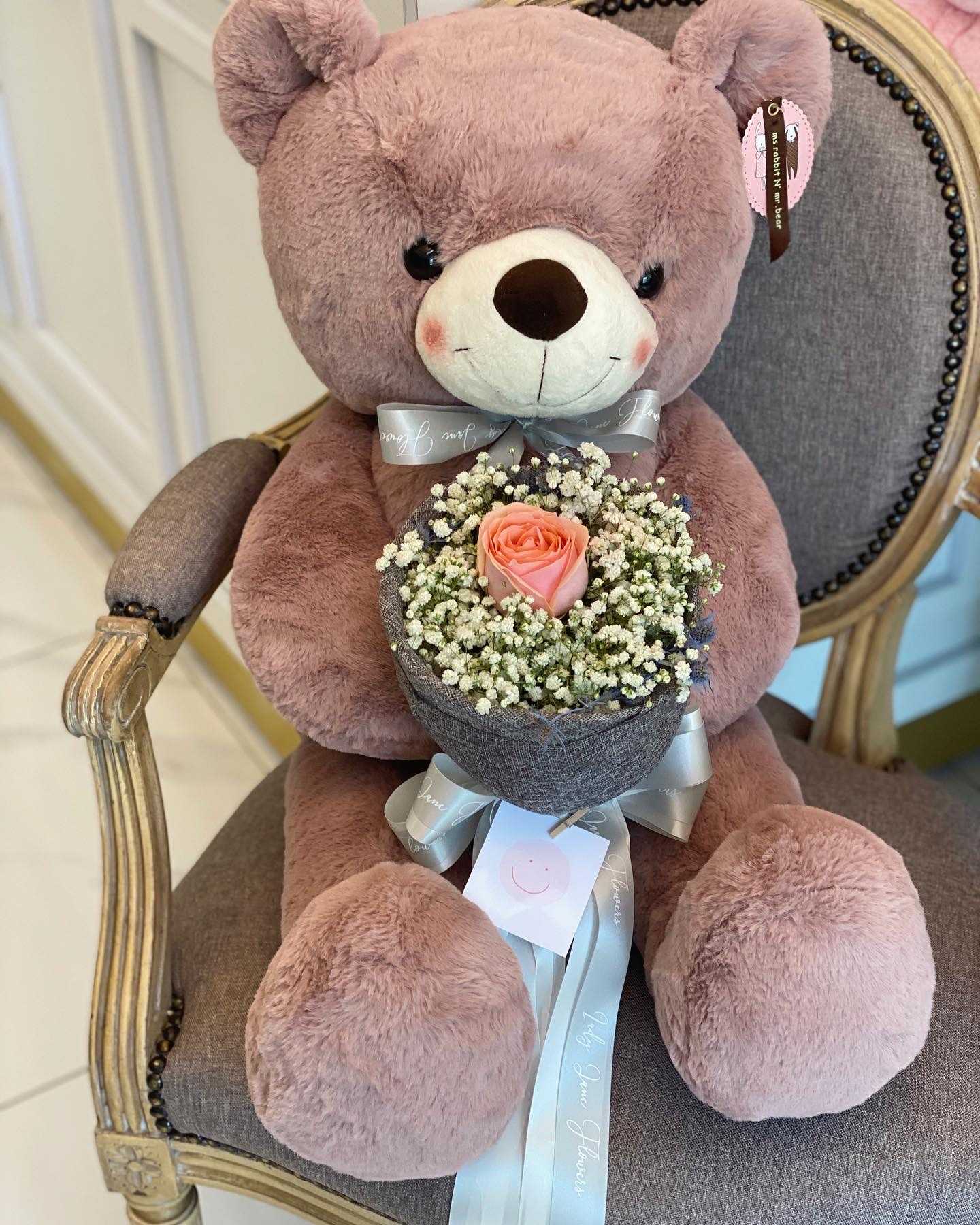 teddy 70