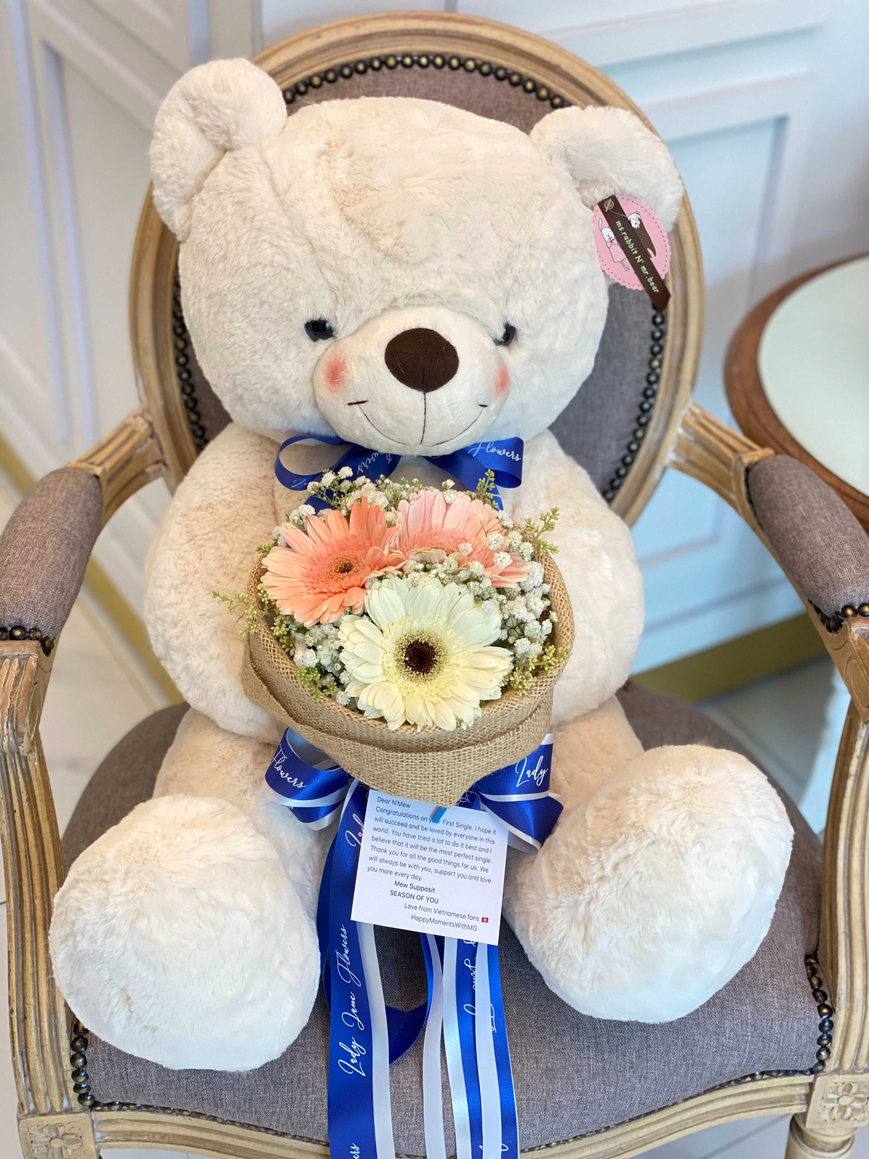 TEDDY 70