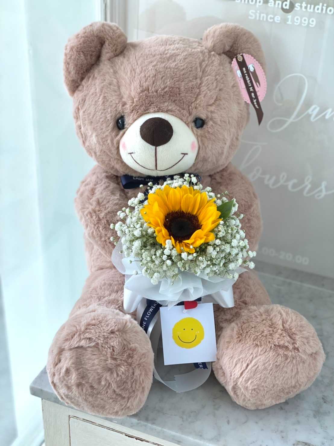 Teddy 50 cm