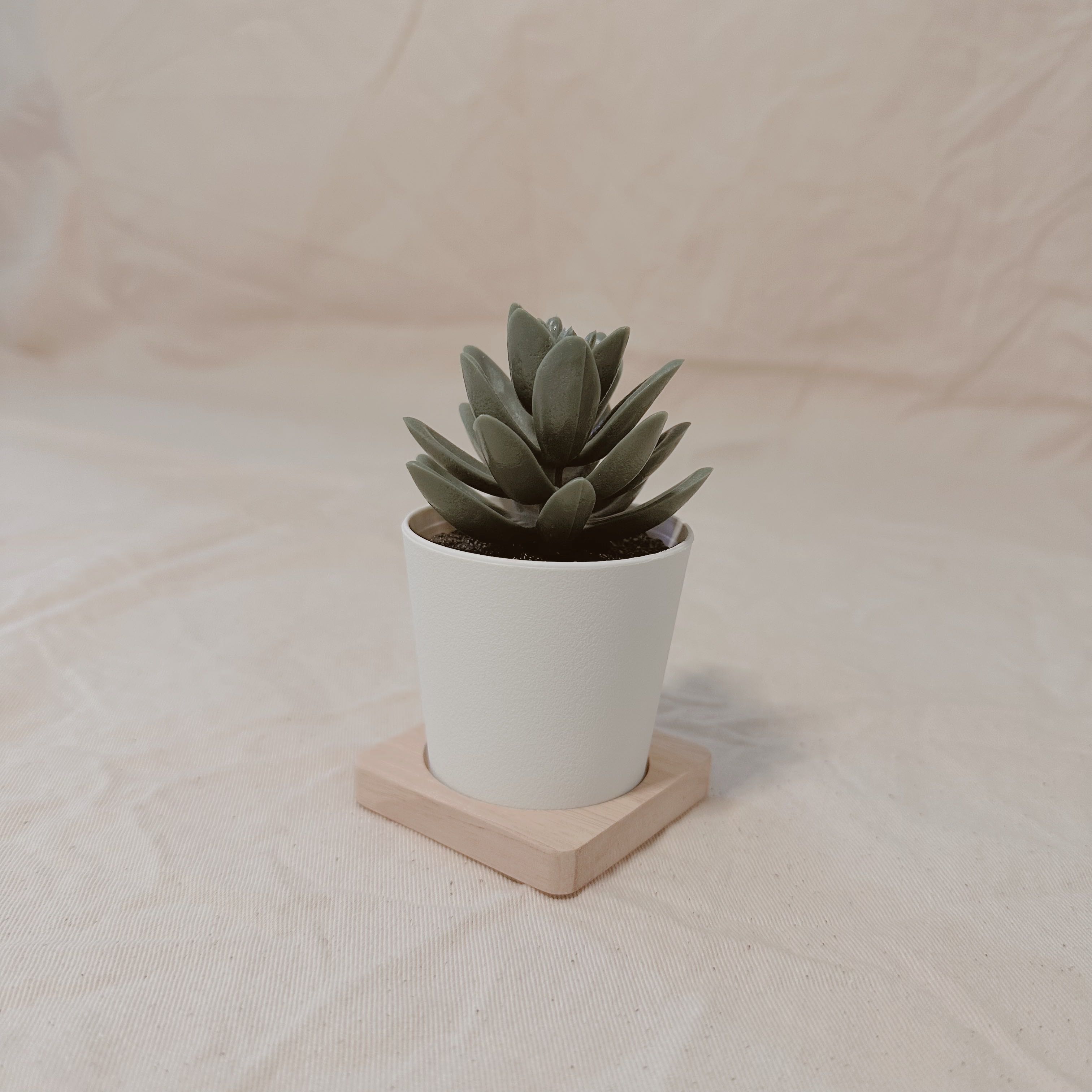 SMALL SAUCER - SQUARE