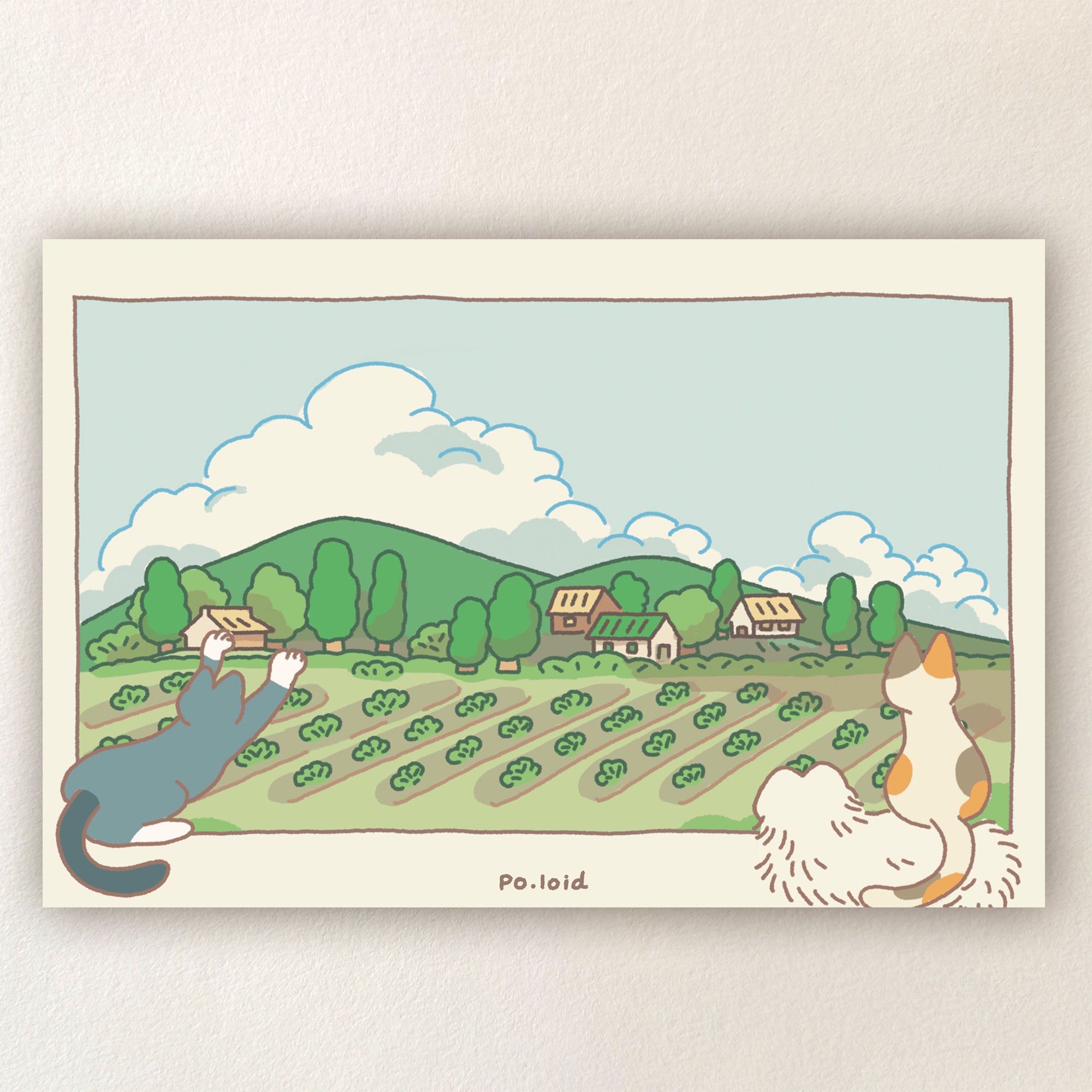 Cat sees the world 01 postcard
