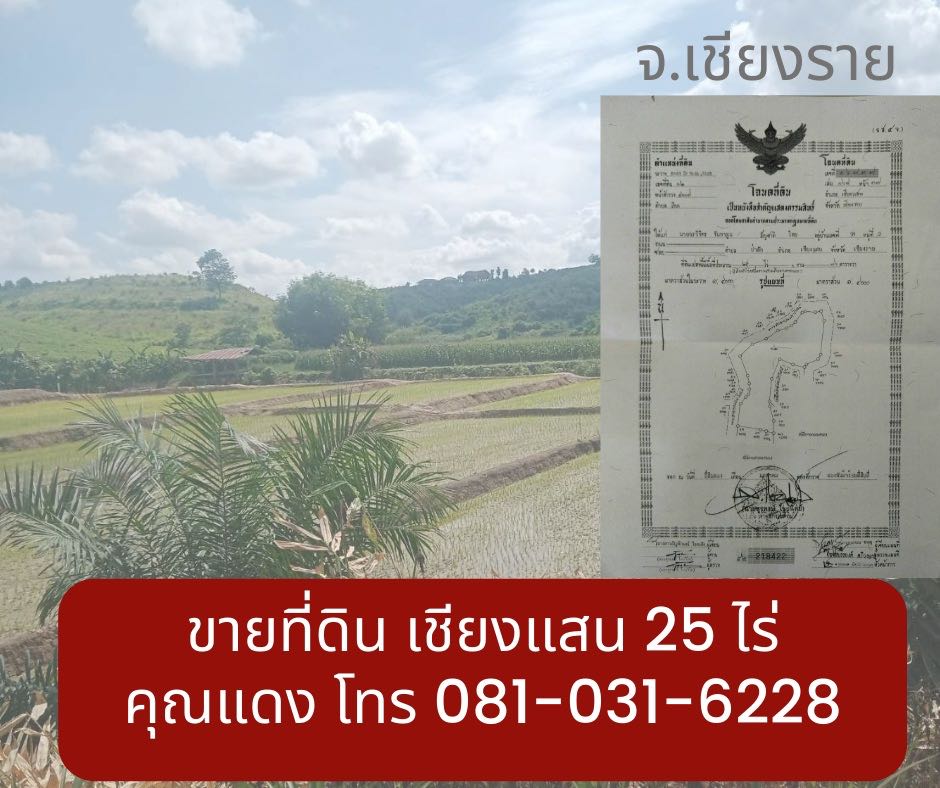 ขายที่ดินเชียงแสน 25 ไร่ จ.เชียงราย ไร่ละ 4แสน โฉนดพร้อมโอน
