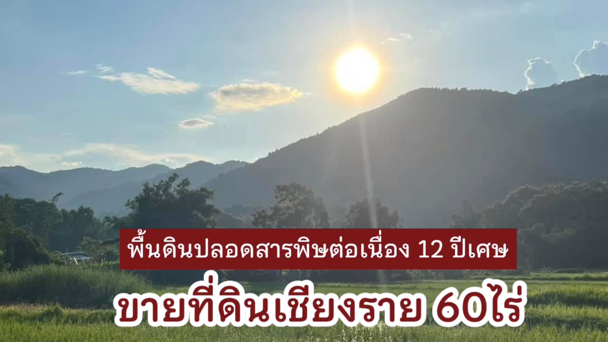 ขายที่ดิน 60 ไร่ อ.เมืองเชียงราย วิวสวย ใกล้สนามบิน ใกล้ ม แม่ฟ้าหลวง พื้นดินสะอาด  ไร่ละ 6แสน