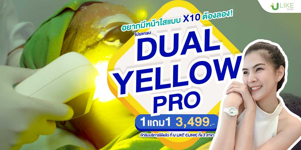 โปรแกรม Dual Yellow  Pro