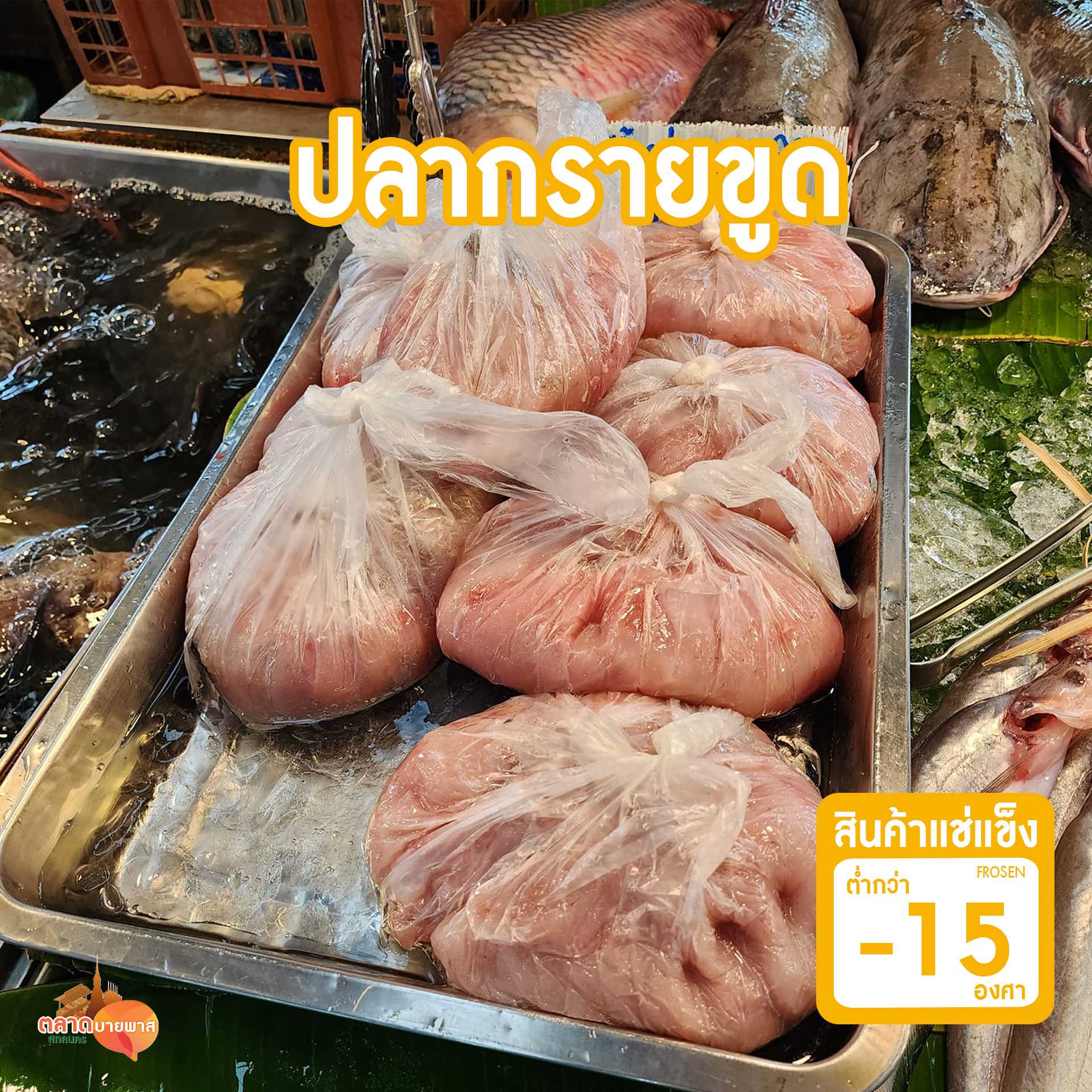 ปลากรายขูด 1 กก. [ส่งแช่แข็ง - 15 องศา ]