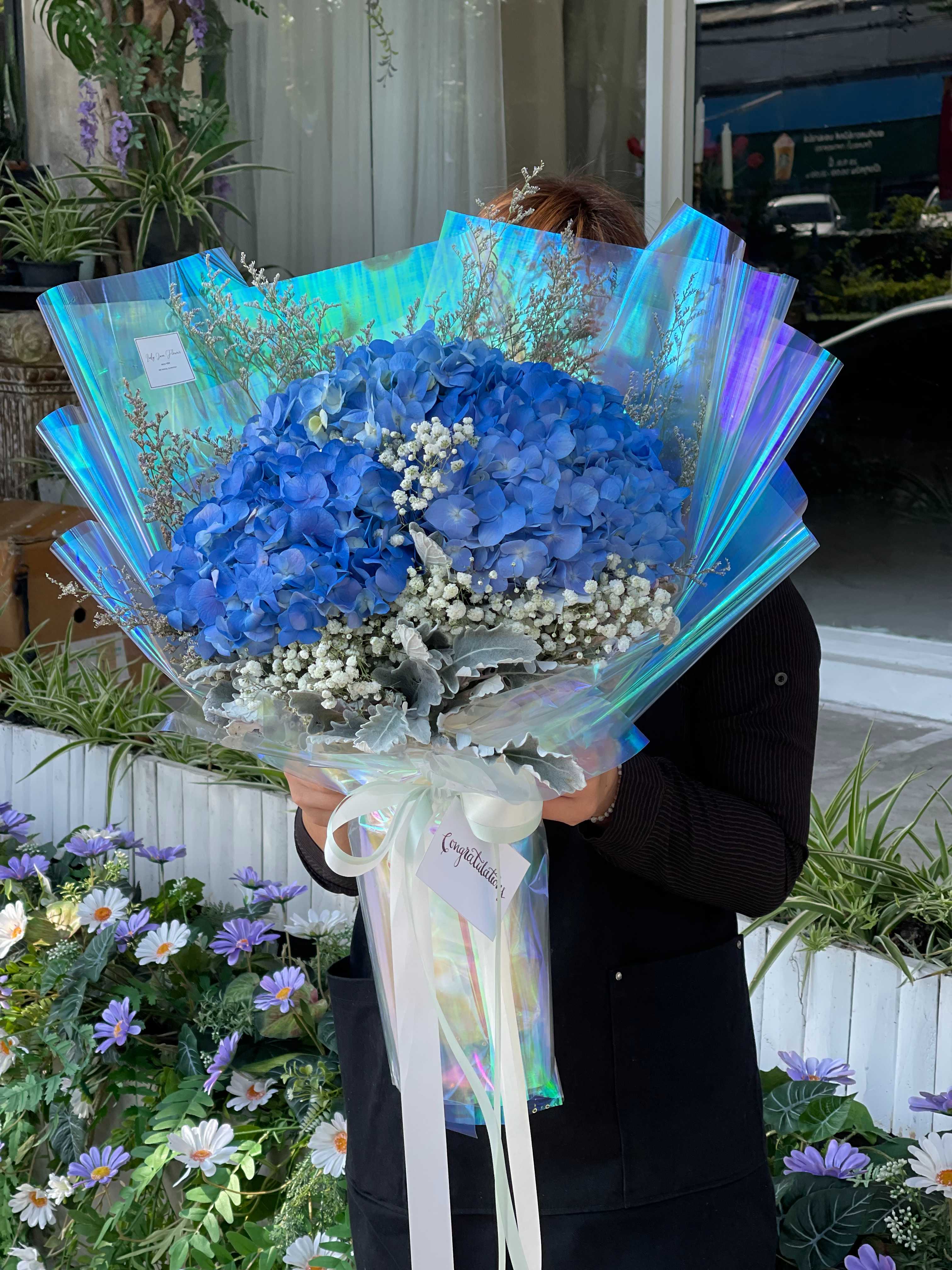 ocean blue hydrangea