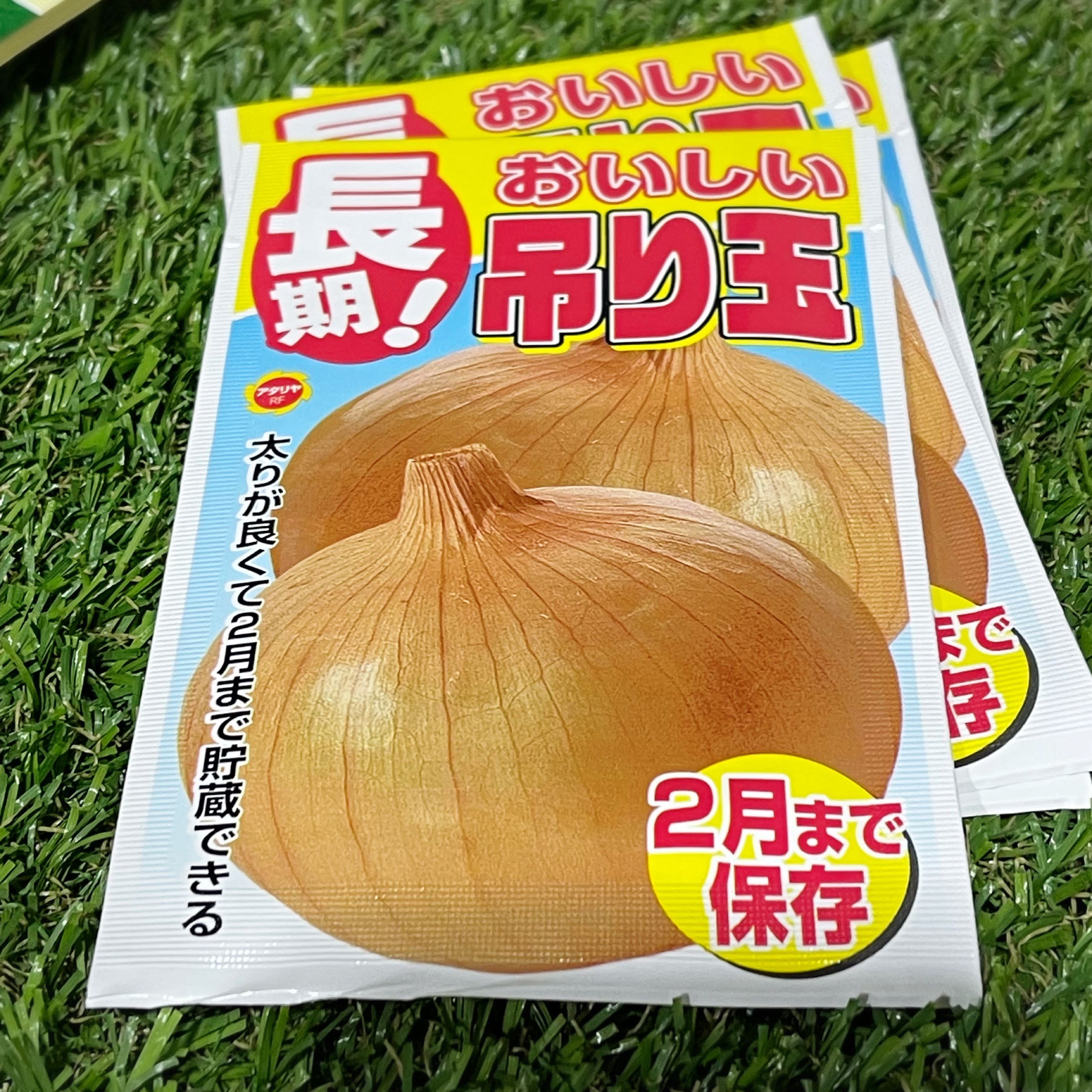 เมล็ดหัวหอมญี่ปุ่น