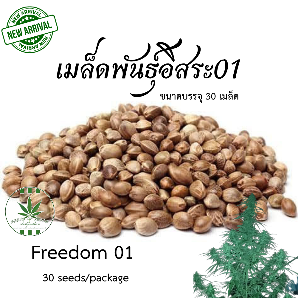 เมล็ดพันธุ์อิสระ01 (Freedom01)