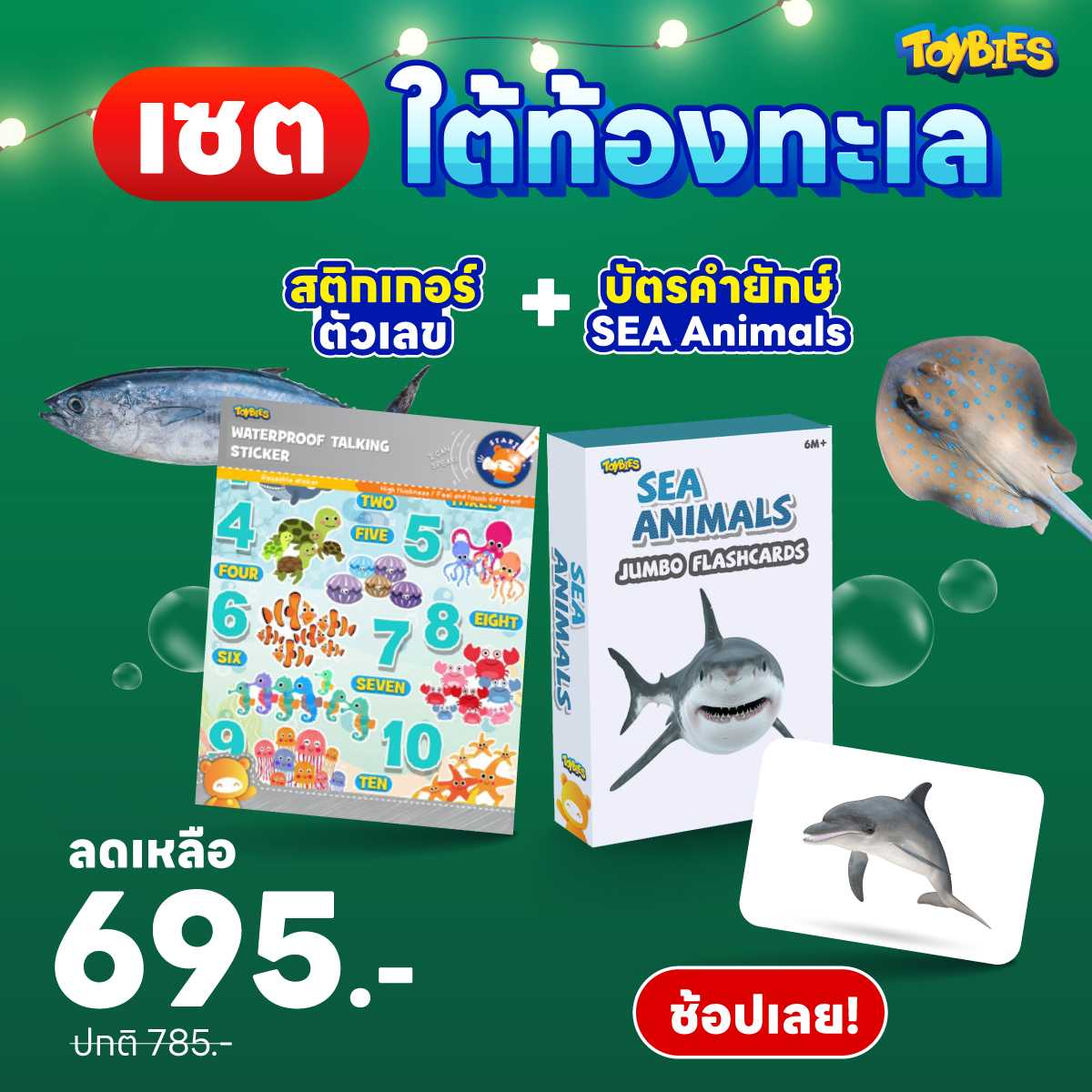 เซตของขวัญ 1 : แฟลชการ์ดสัตว์ทะเล+สติ๊กเกอร์กันน้ำตัวเลข