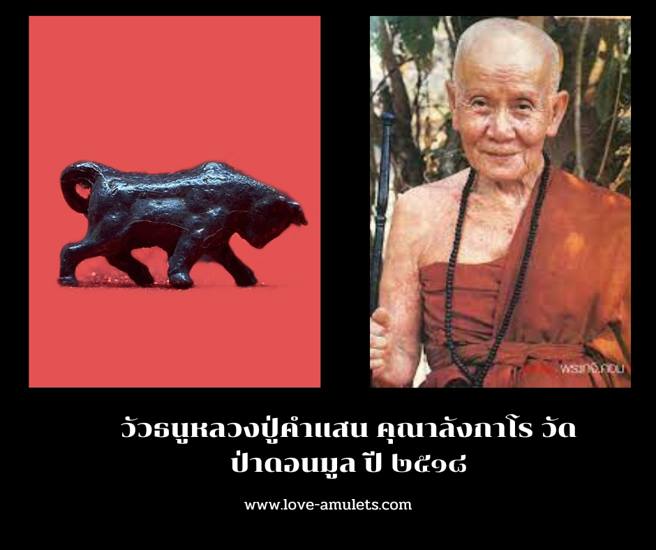 วัวธนูหลวงปู่คำแสน คุณาลังกาโร วัดป่าดอนมูล ปี ๒๕๑๘