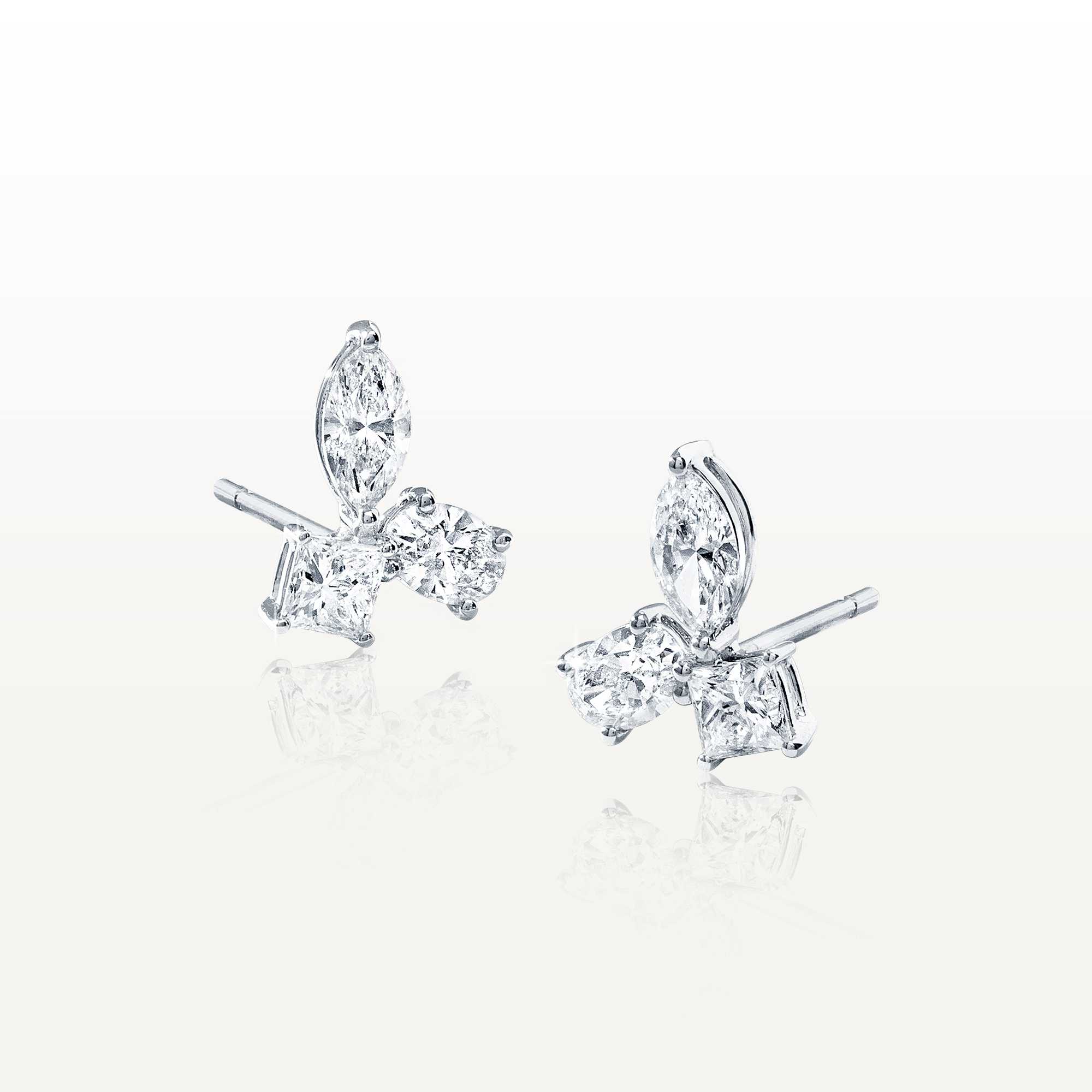 Coexisting Earrings ESC-E06