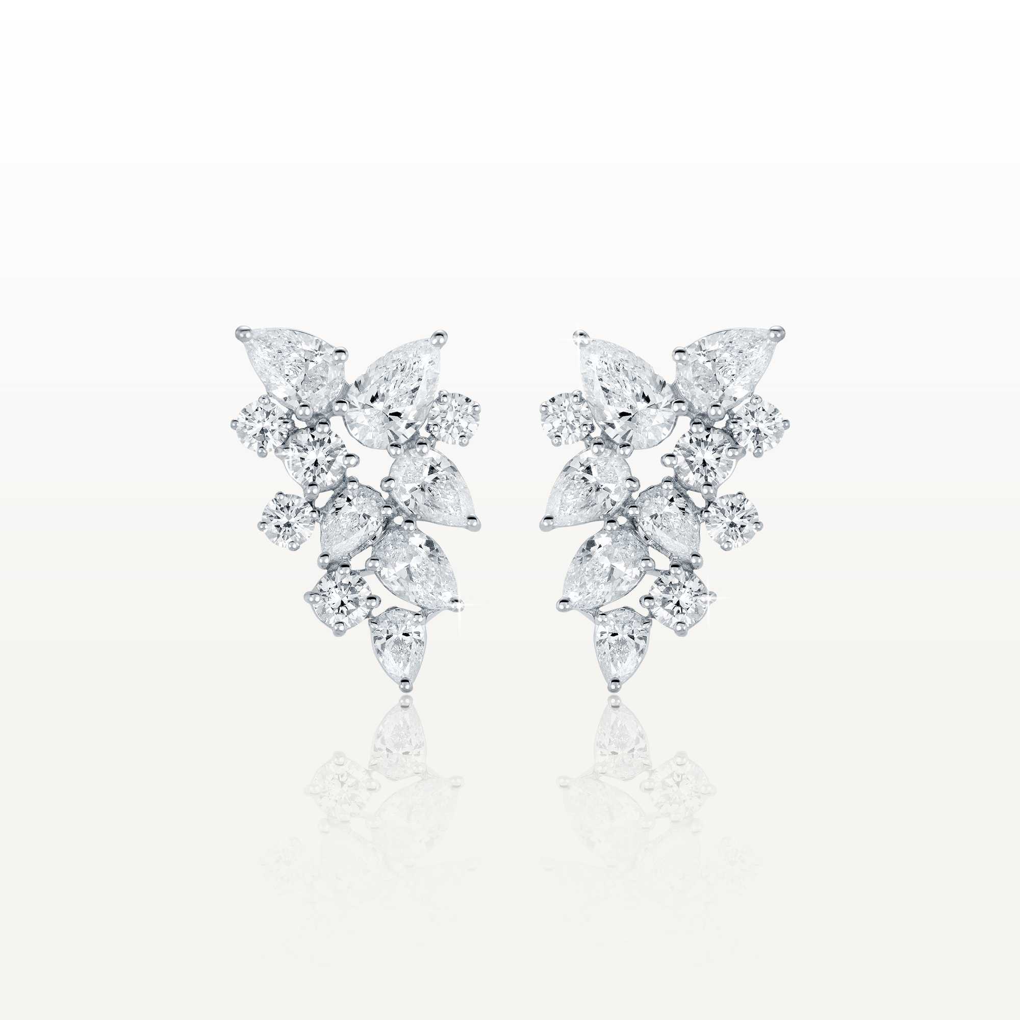 Coexisting Earrings ESC-E11