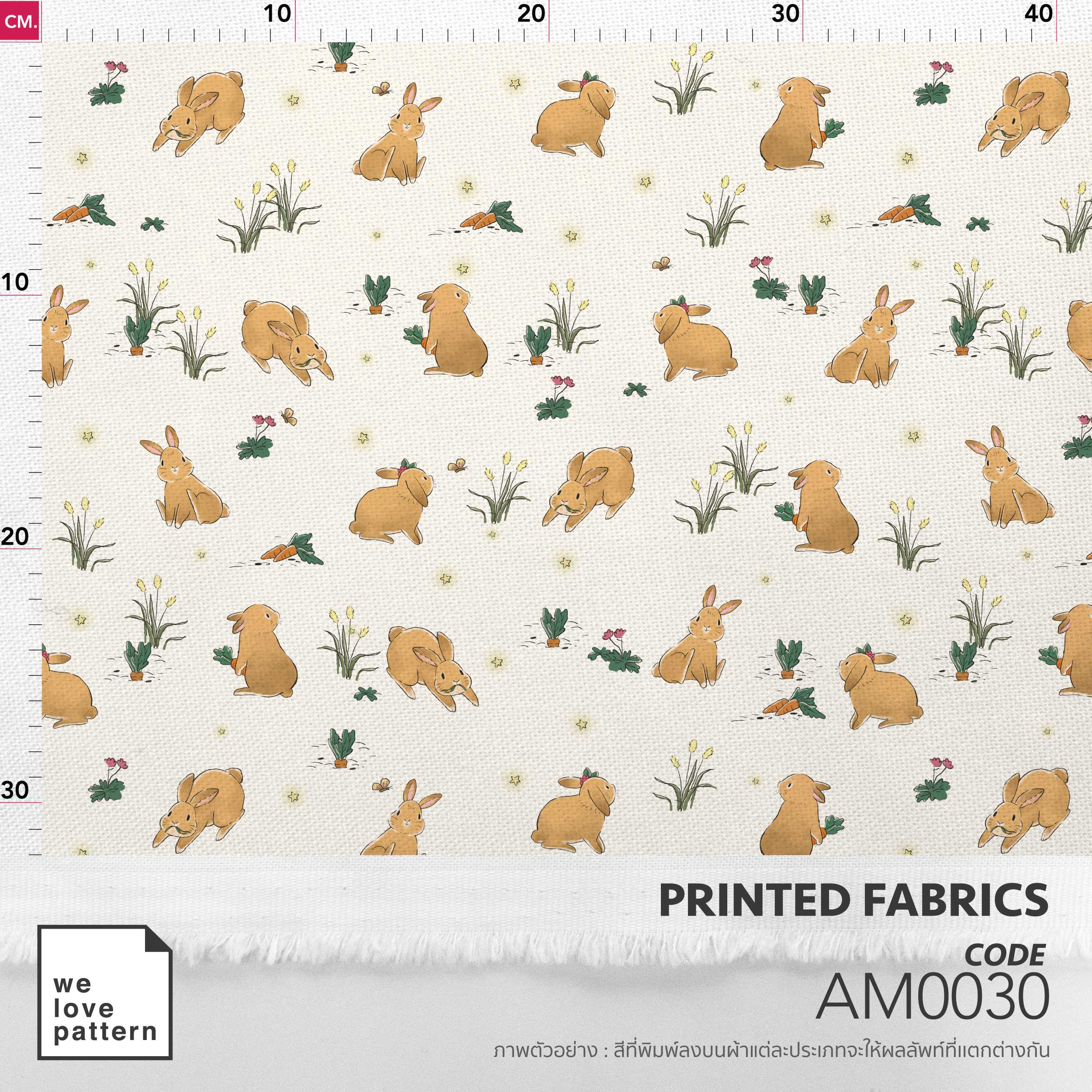 รหัสลาย : AM0030