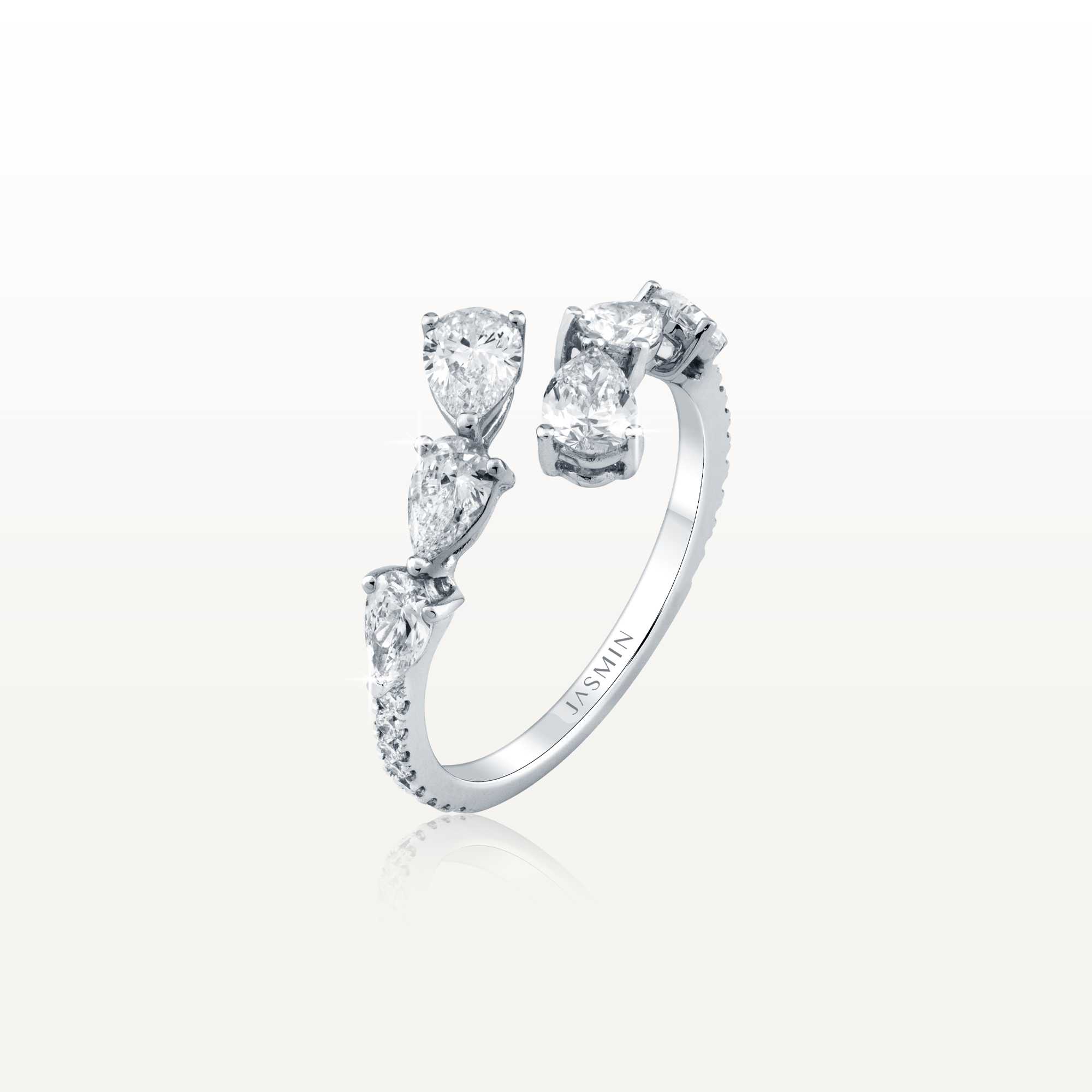 Aqua Ring ESA-R10