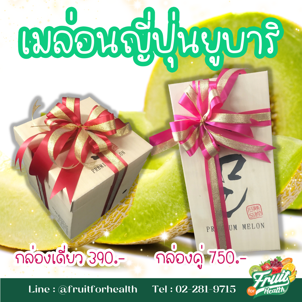 เมล่อนญี่ปุ่นกล่องของขวัญ