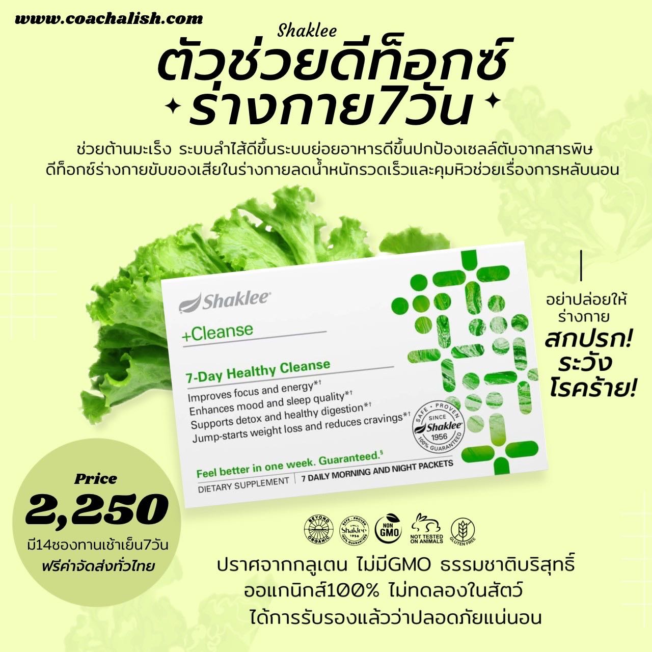 (Preorder) ตัวช่วยดีท็อกซ์ร่างกายต้านมะเร็ง 7-Day Healthy Cleanse — Shaklee