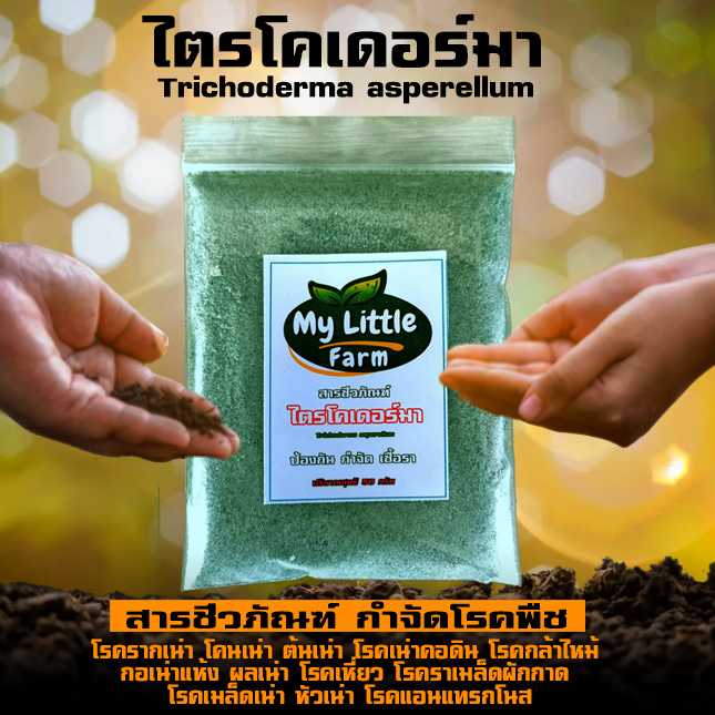 ไตรโคเดอร์มาสารชีวภัณฑ์กำจัดเชื้อราปราศจากสารเคมี ใช้กับพืชได้ทุกชนิด แบบผง 50 กรัม ผสมน้ำใช้ได้เลย