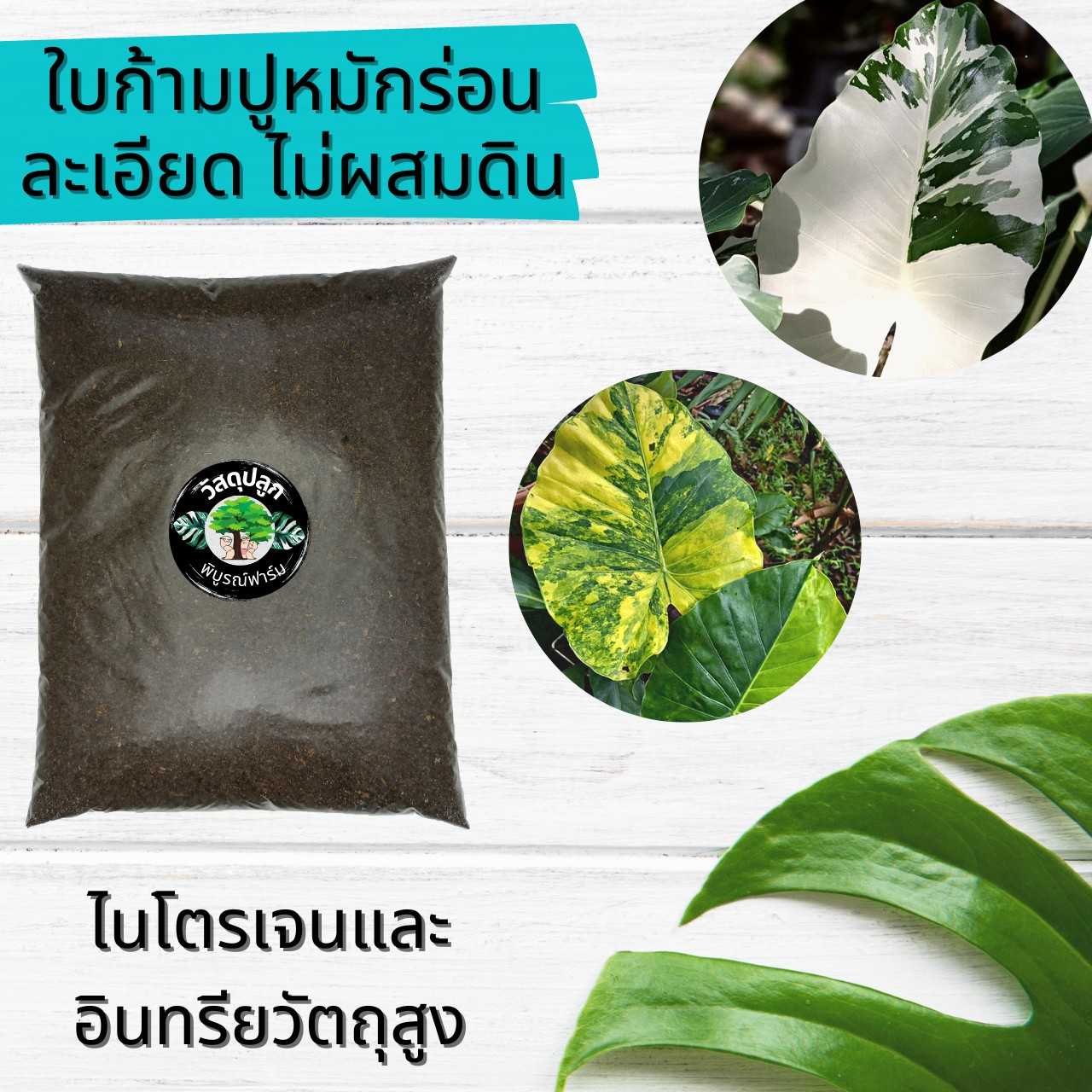 ใบก้ามปูหมัก ร่อนละเอียด ใบก้ามปูแท้ 100%