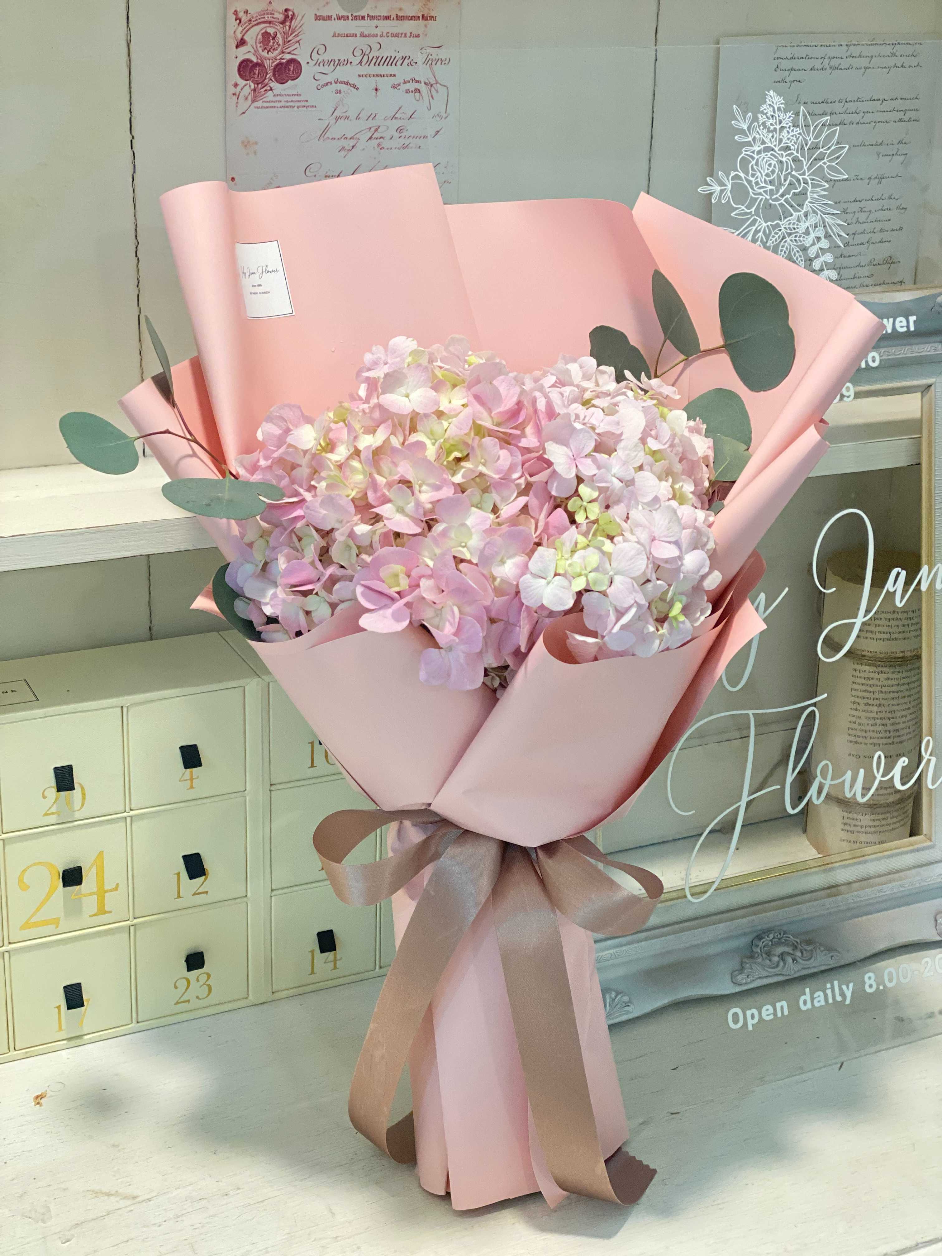 pink hydrangea