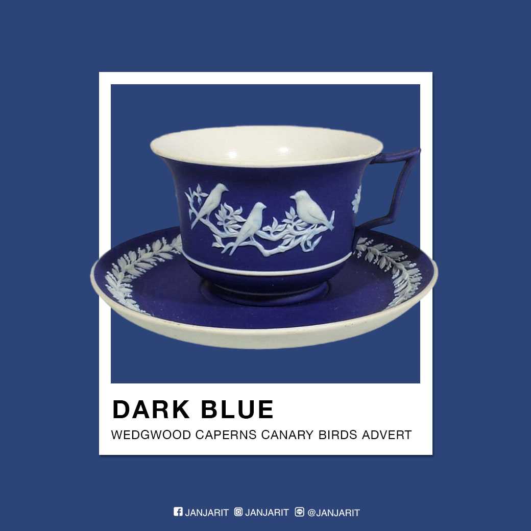ชุดถ้วยชา-จานรอง Wedgwood Caperns Canary Birds Advert Duo