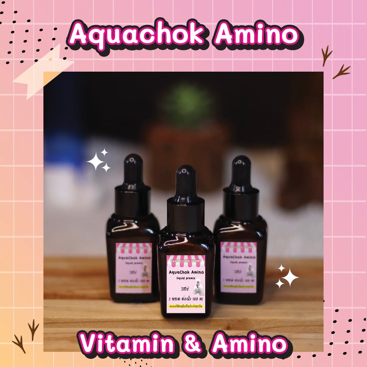 Aquachok