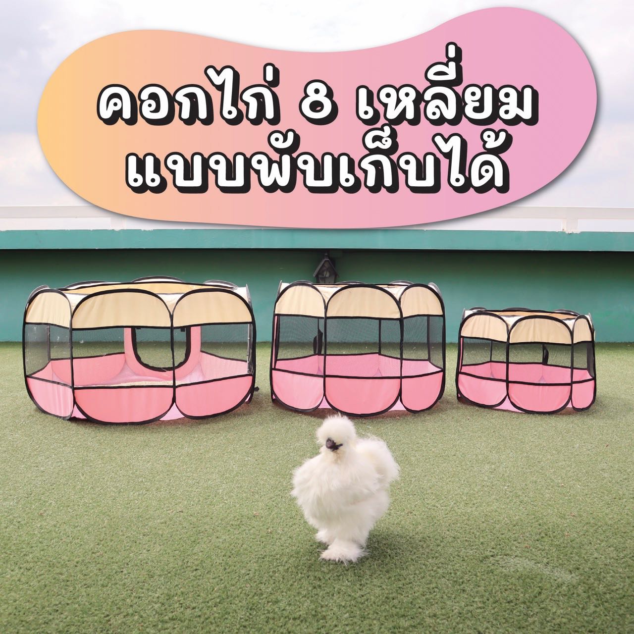 คอกสัตว์เลี้ยง 8 เหลี่ยมพับได้สำหรับไก่ซิลกี้