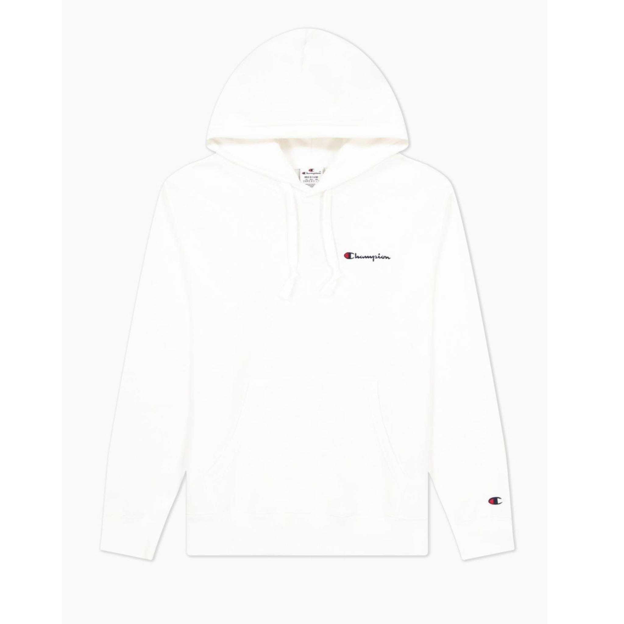 CHAMPION ROCHESTER 1919SMALL SCRIPT LOGO EMBROIDERY FLEECE HOODIE